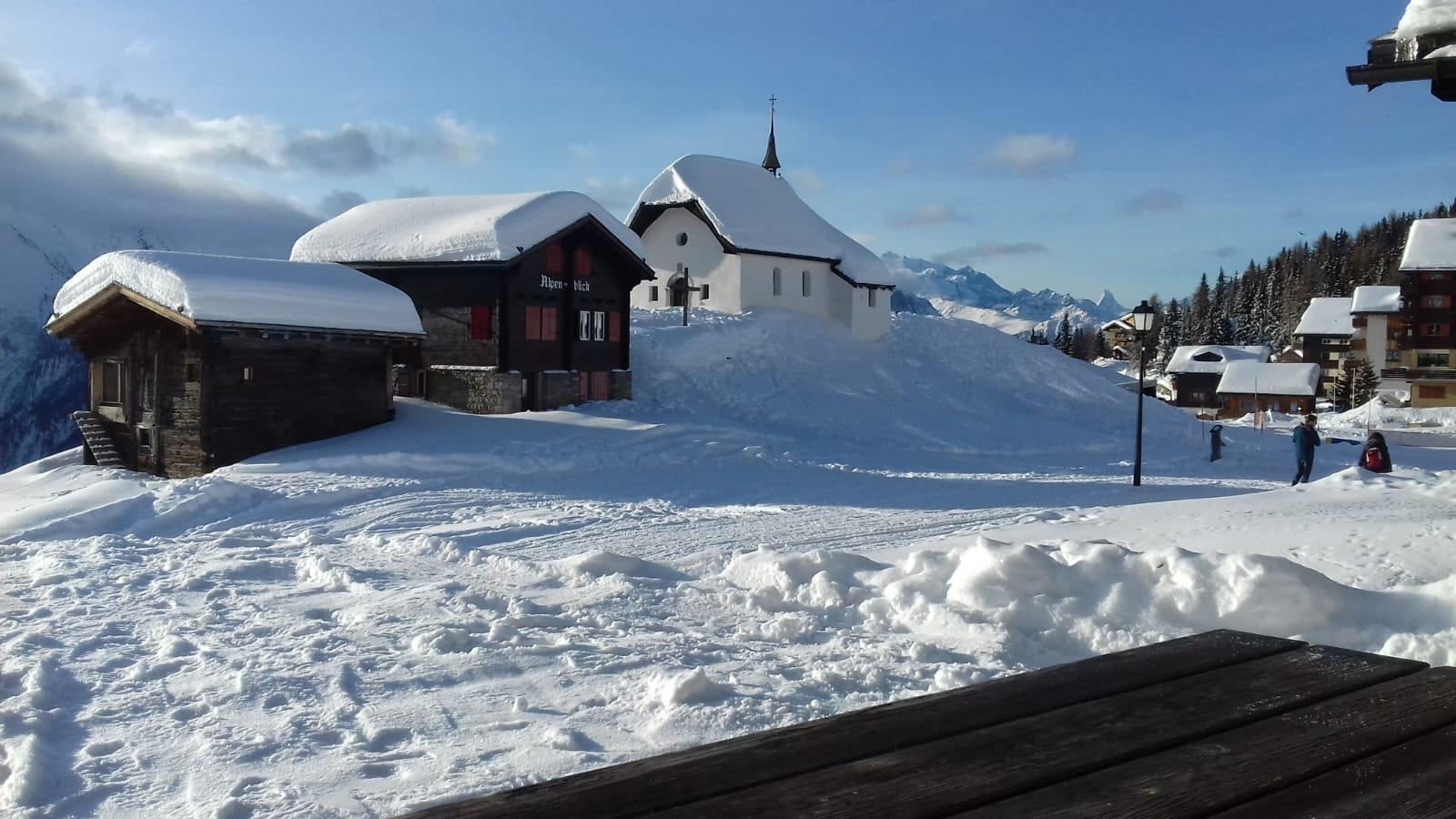 Silberdistel - IMG-20190128-WA0007