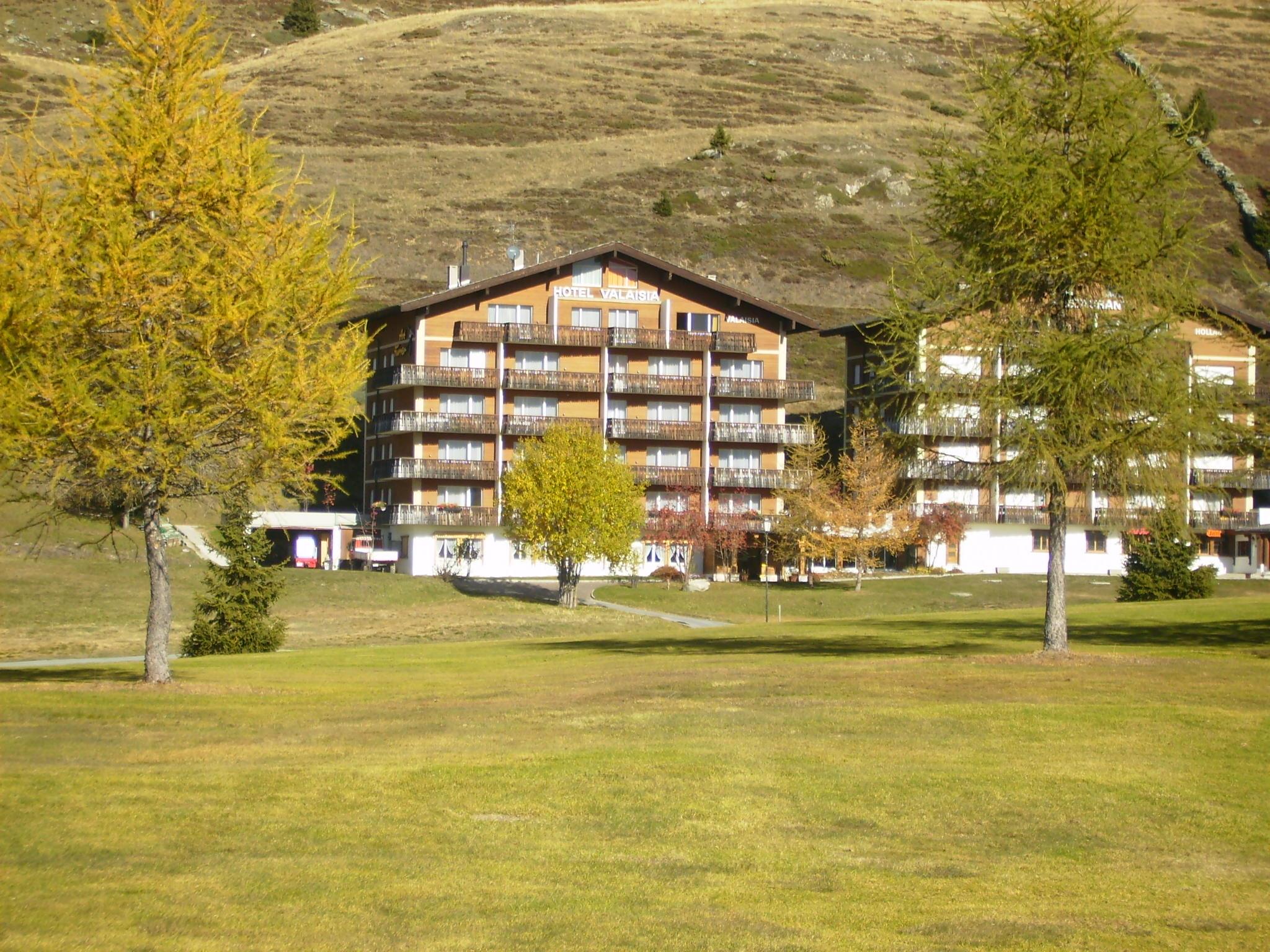 Valaisia 51 - Wohnung_Valaisia 51