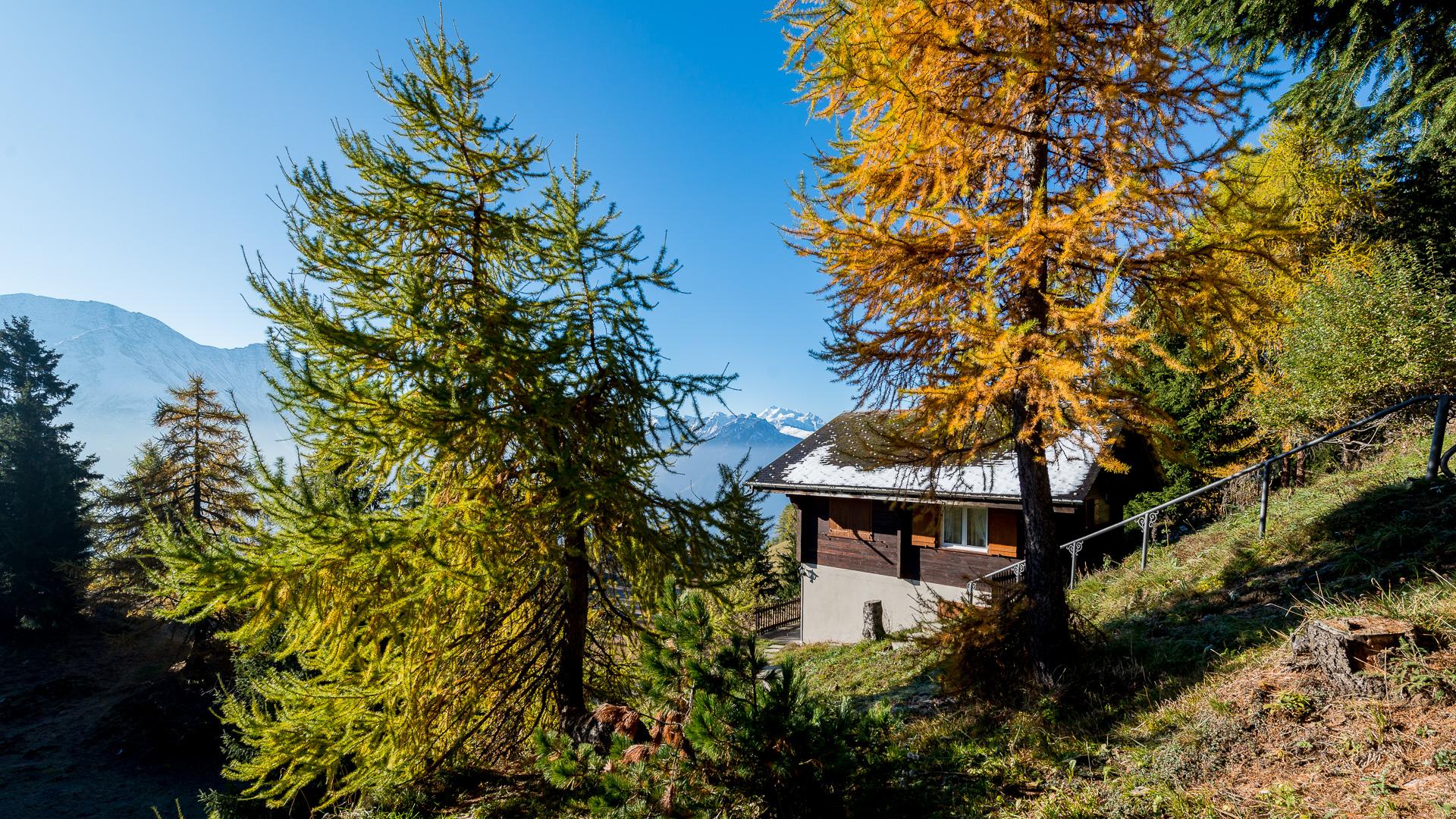 Allegro EG Süd-West - FW5_9647