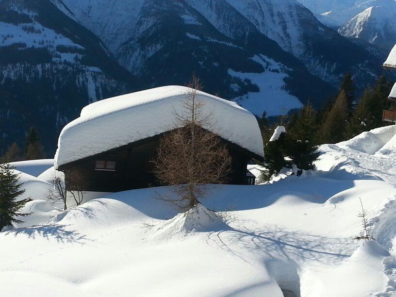 Allegro EG Süd - Nachbarhaus