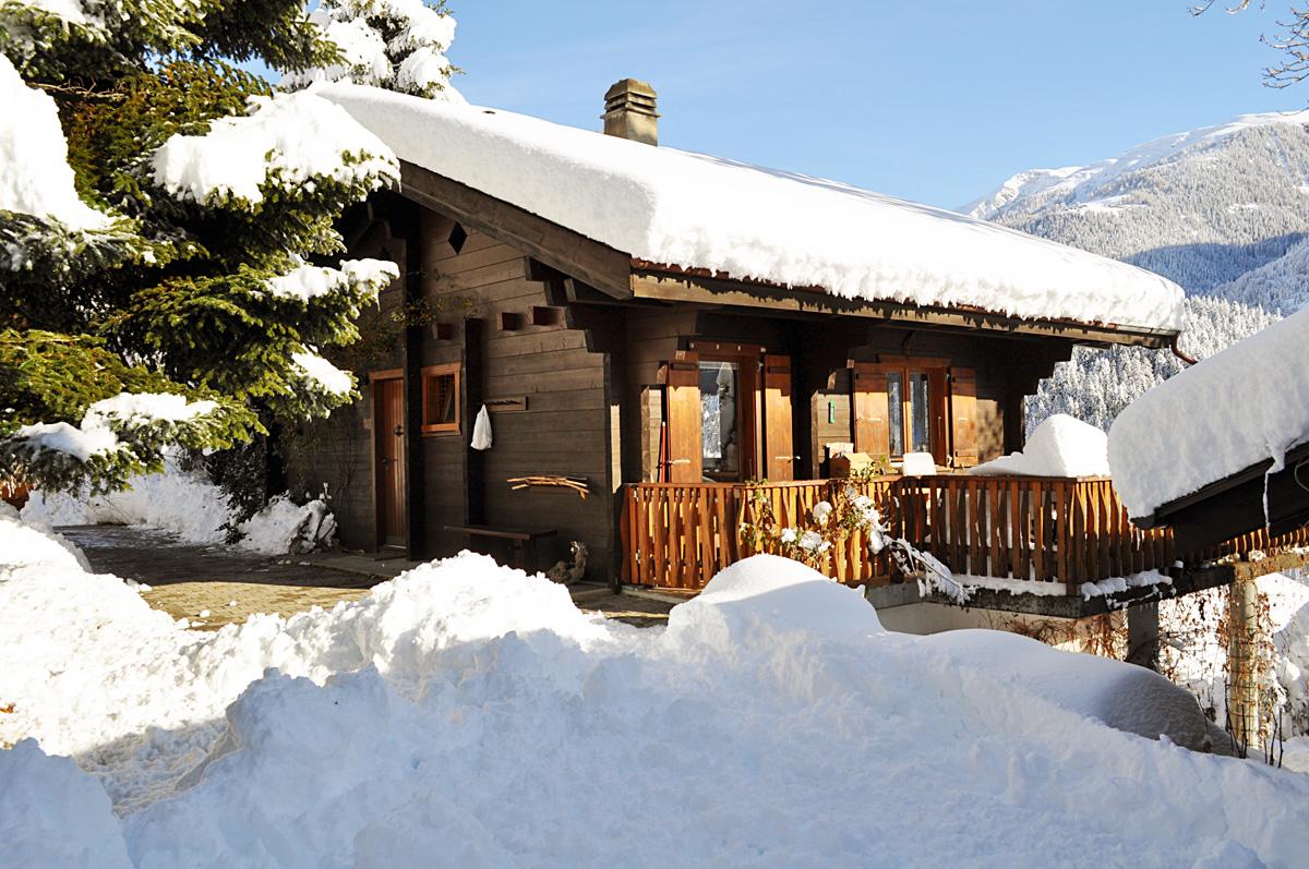 Trimka - DSC_0817_1200