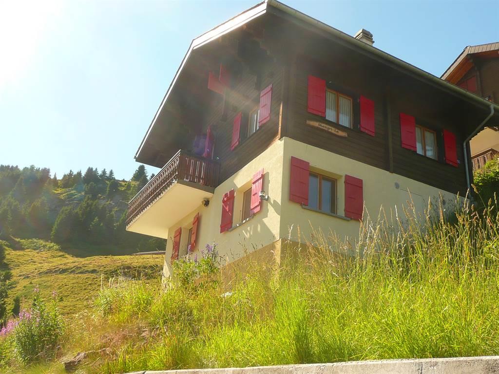 Shangri-La EG Süd-West - Aussenansicht Sommer