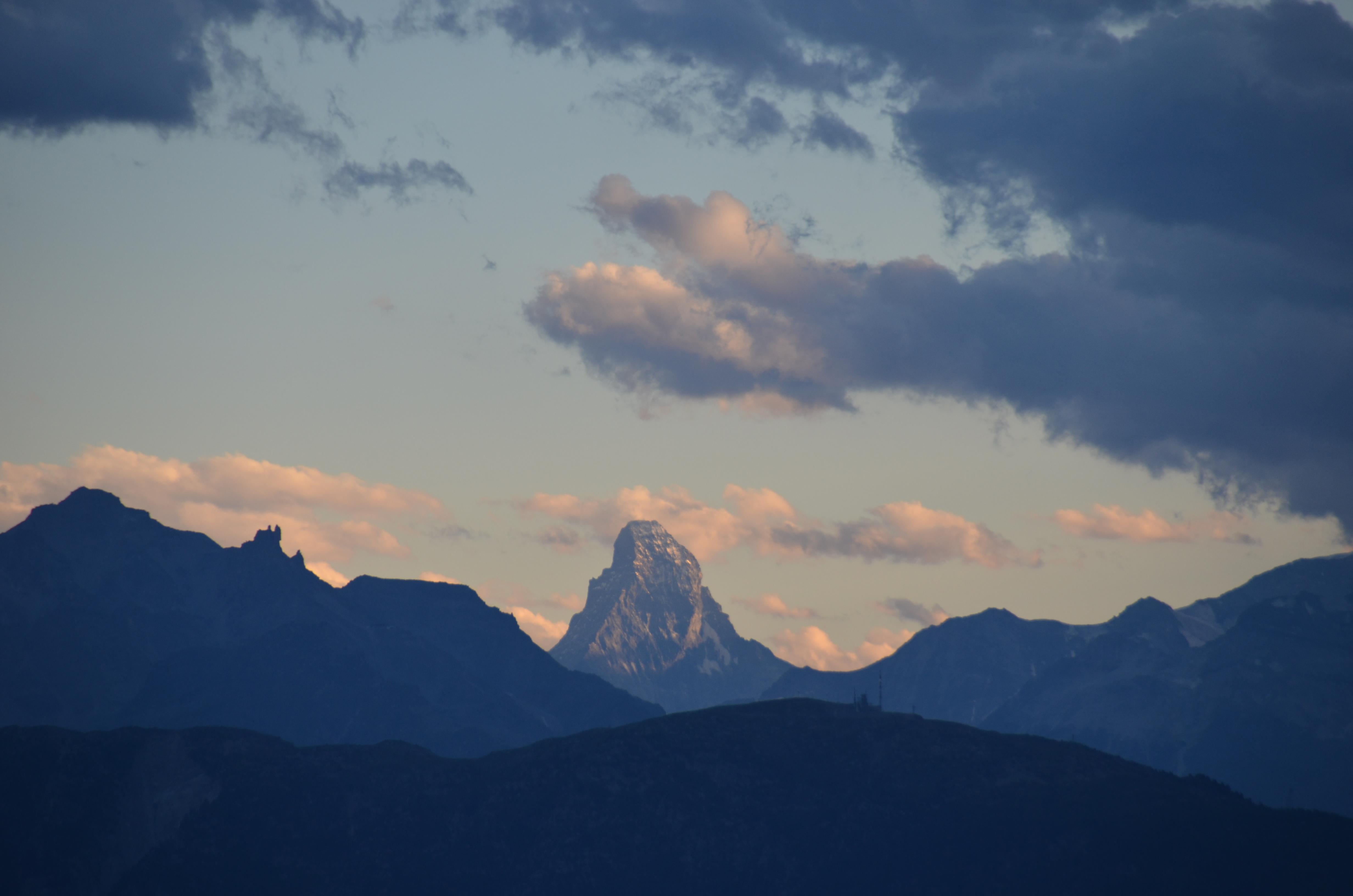 Moorvogel - Blick zum Matterhorn Matterhorn