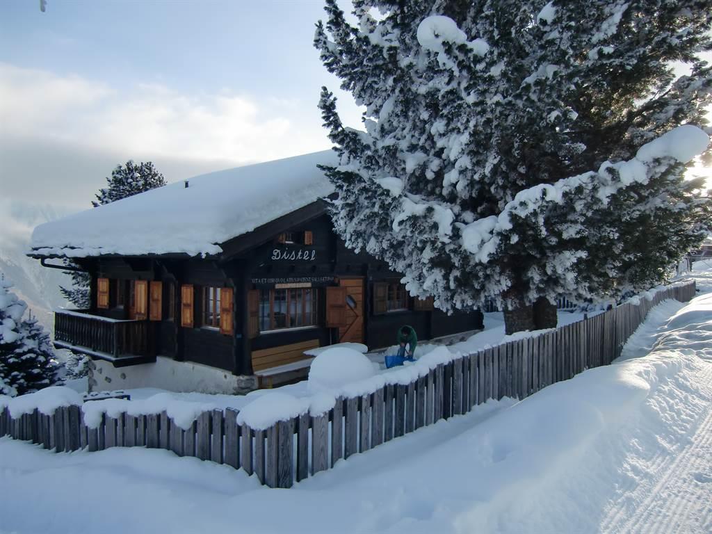 Distel - Aussenansicht Winter