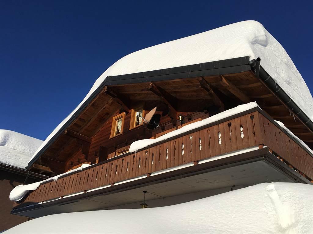 Parnassia - Aussenansicht