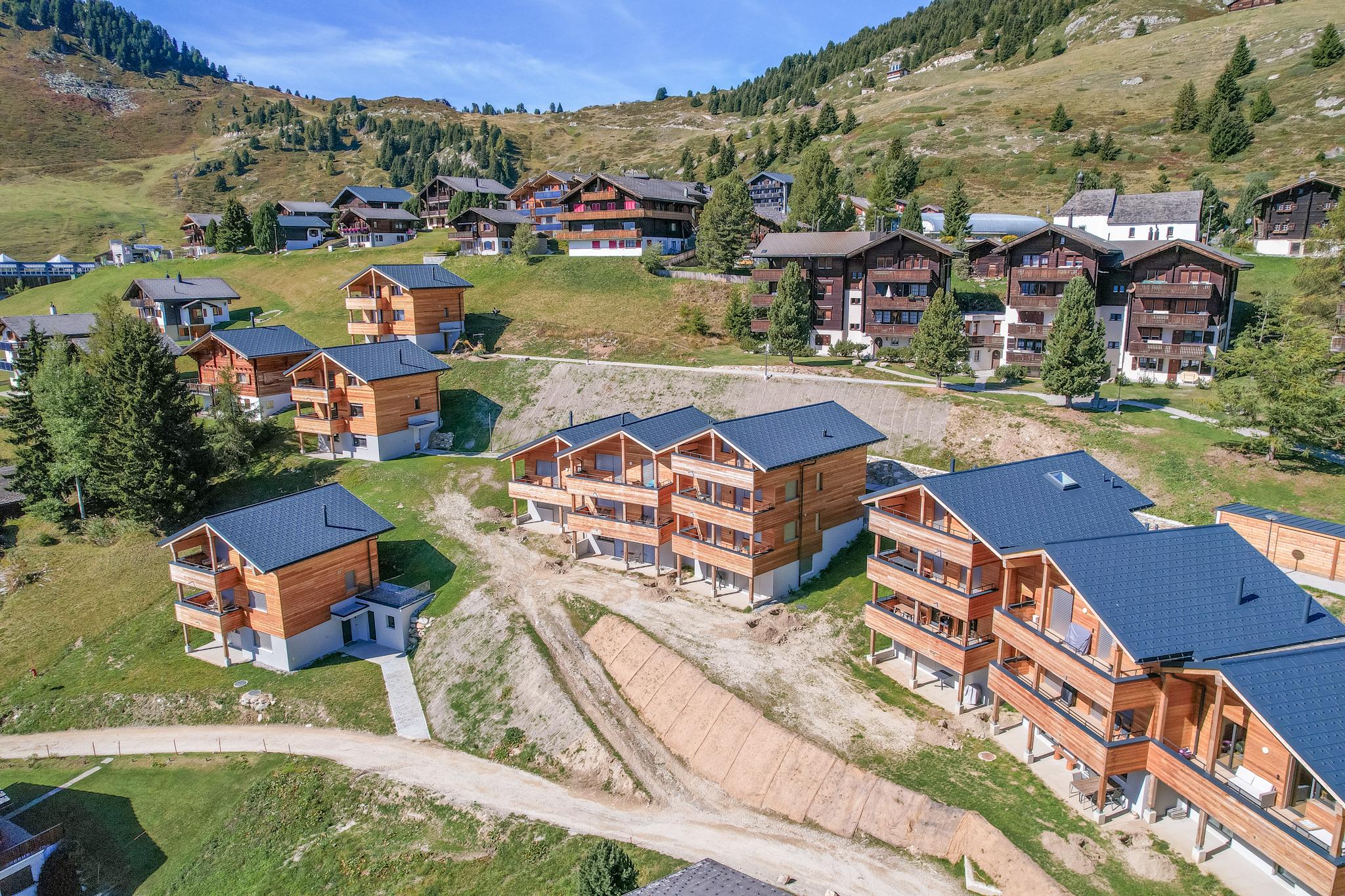 BeeValais 2 1. OG West - DJI_0335