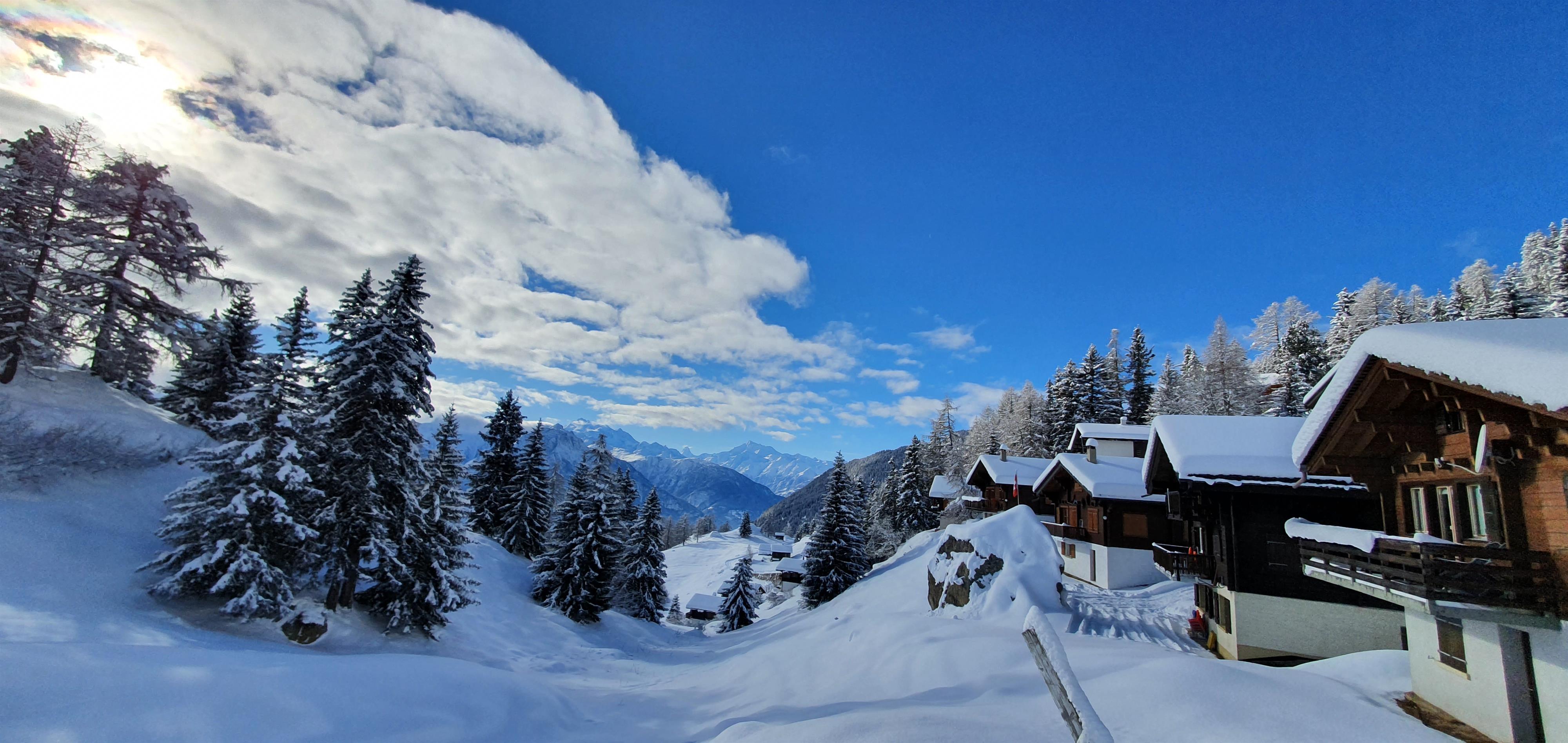 Ranch - 20201210_114909#1