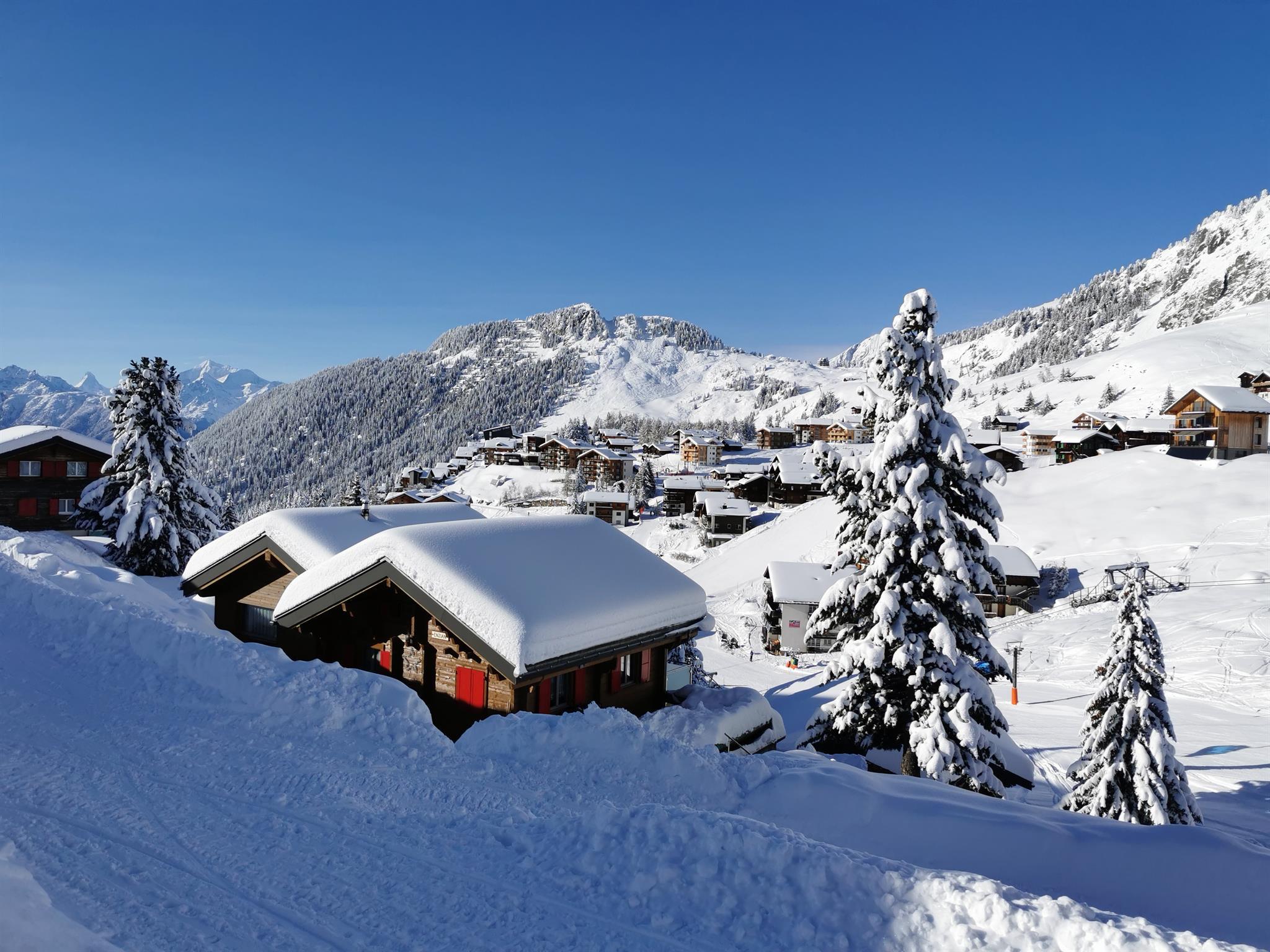 Enzian - Aussen Winter