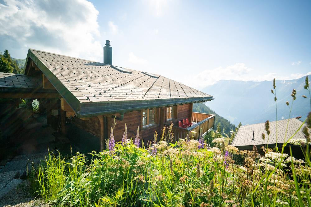 Kaktus 4 Bett - Kaktus Westansicht