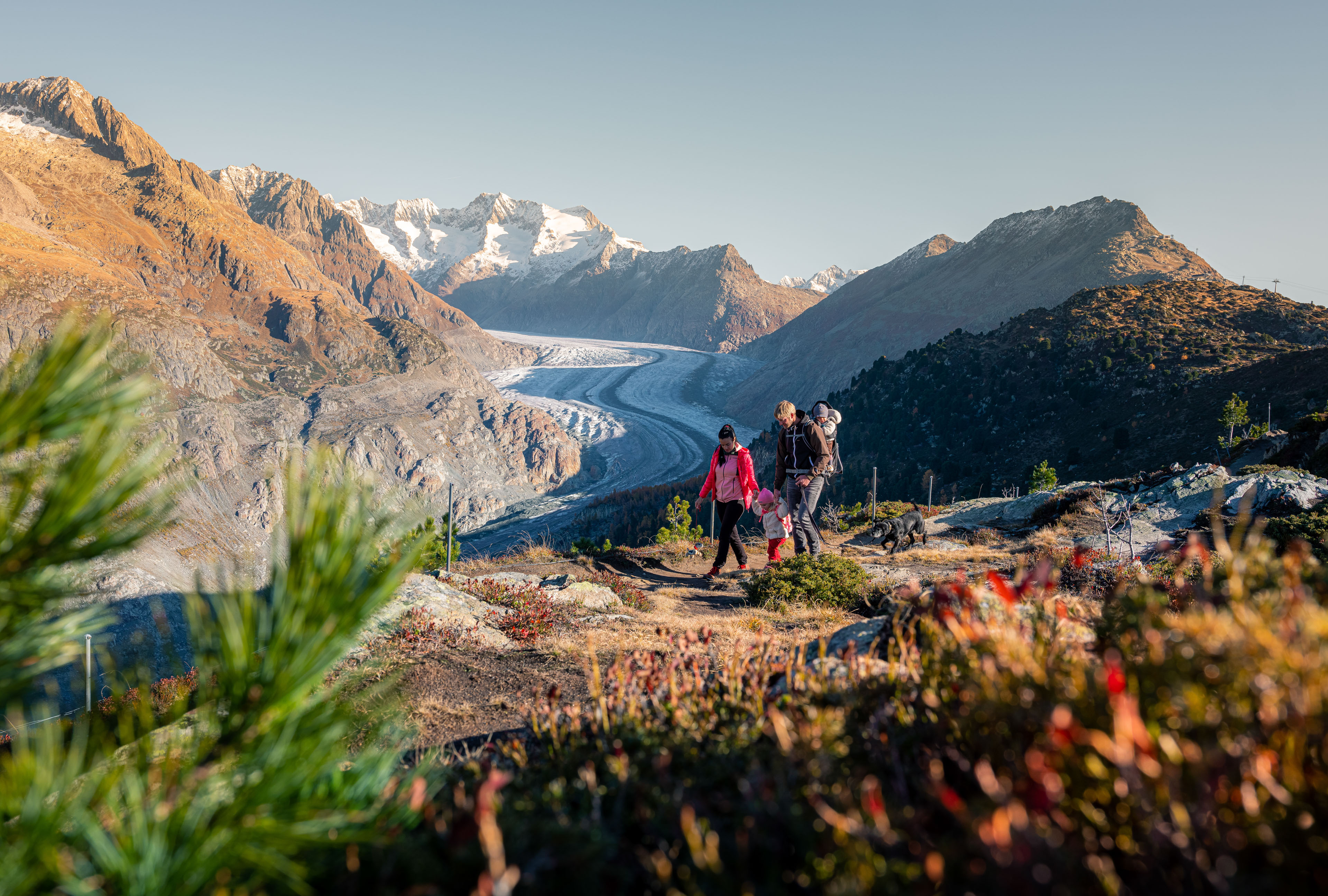 mys-Entdeckerpass-Herbstwanderng Familie Sommer