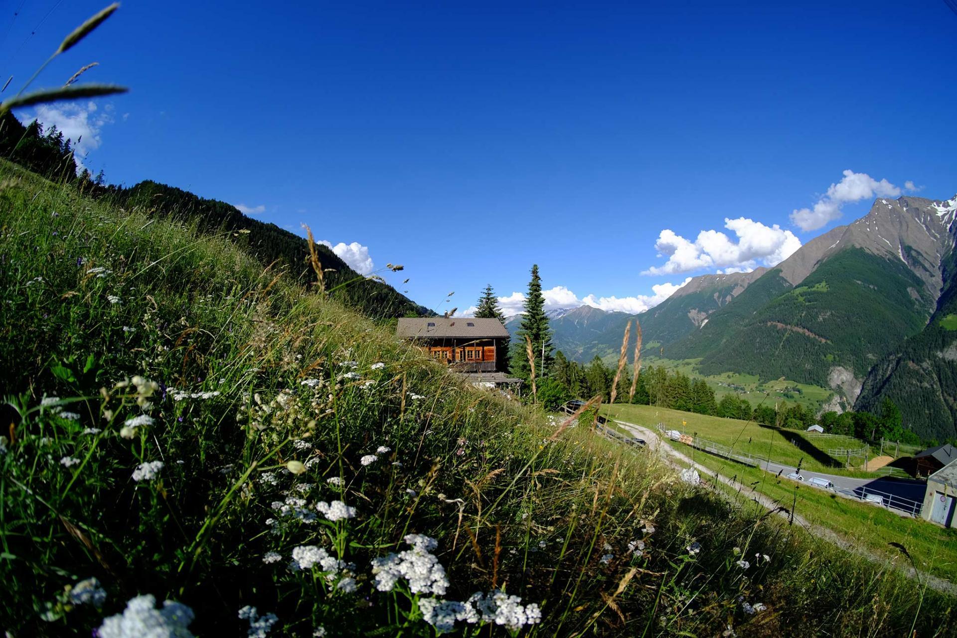 Greicherstube EG Süd - Walliserhaus mit der Wohnung Greicherstube