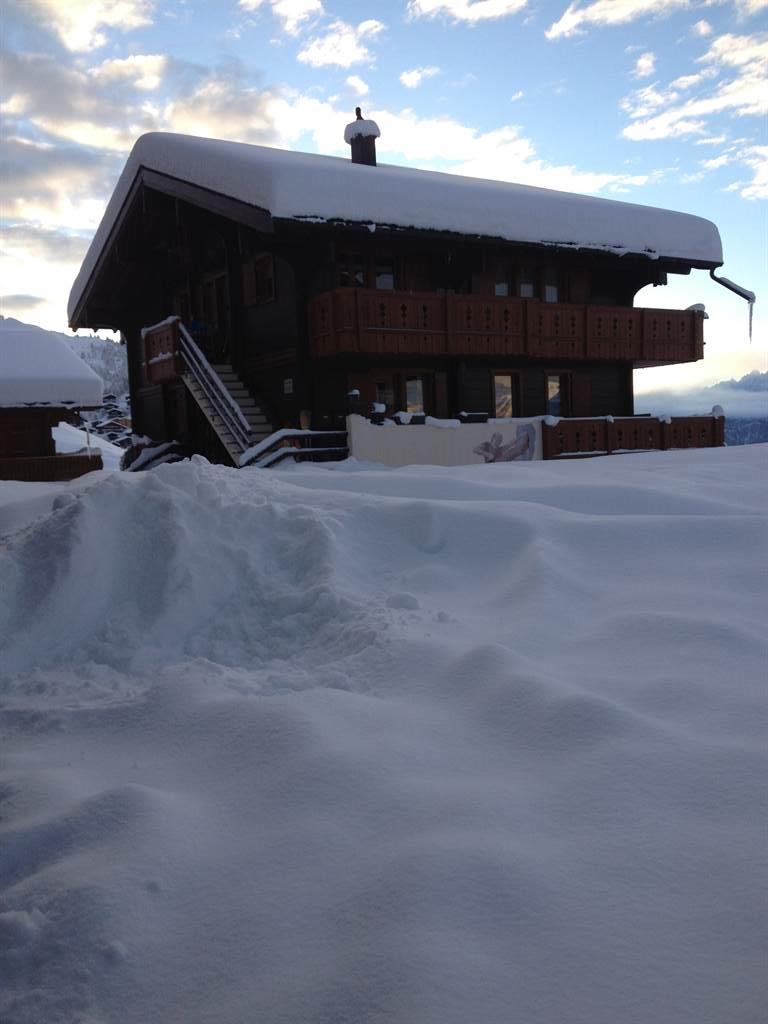 Aurora Ost - Abendstimmung