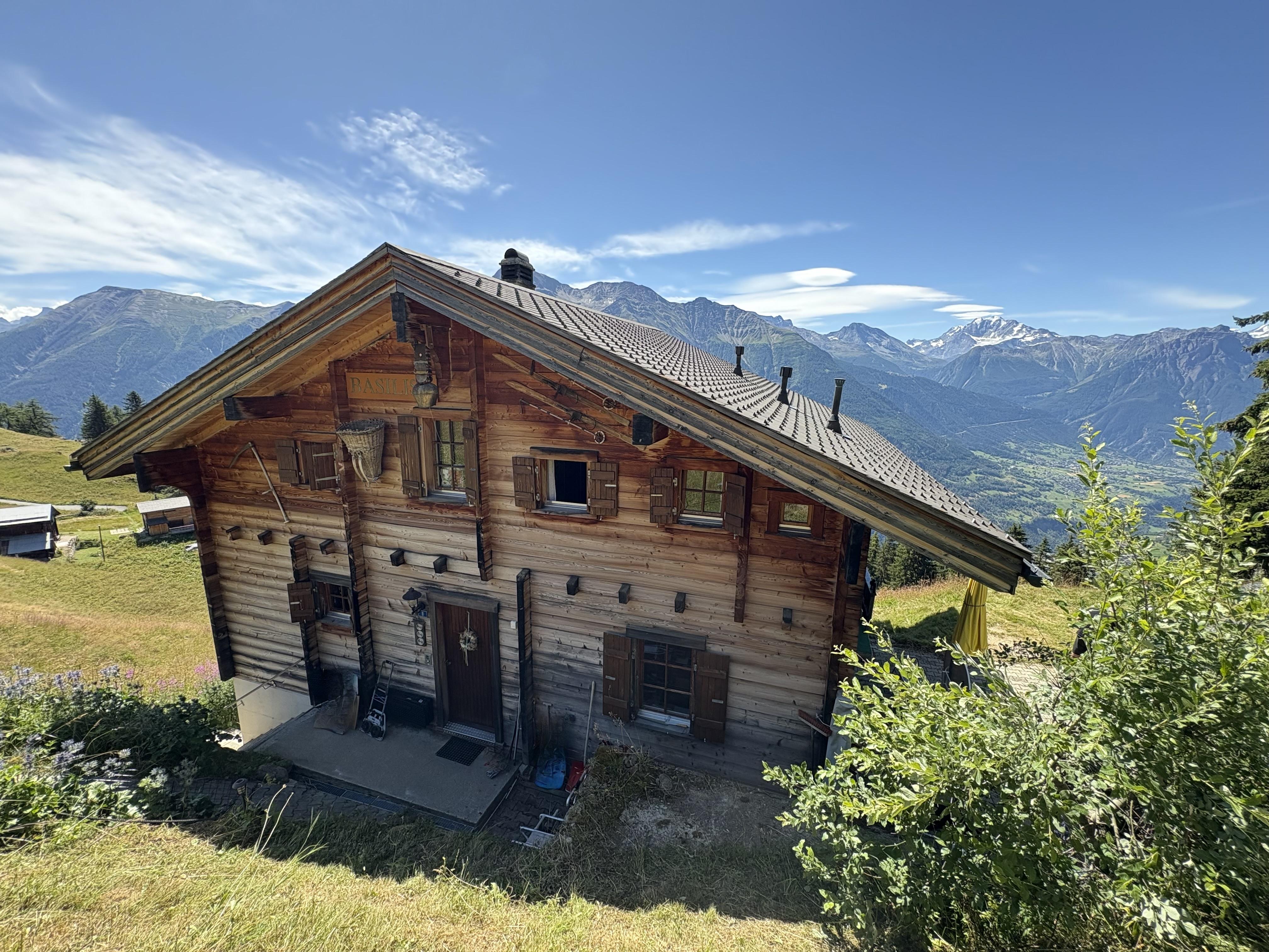 Basilisk 2. OG Süd - IMG_7500 3