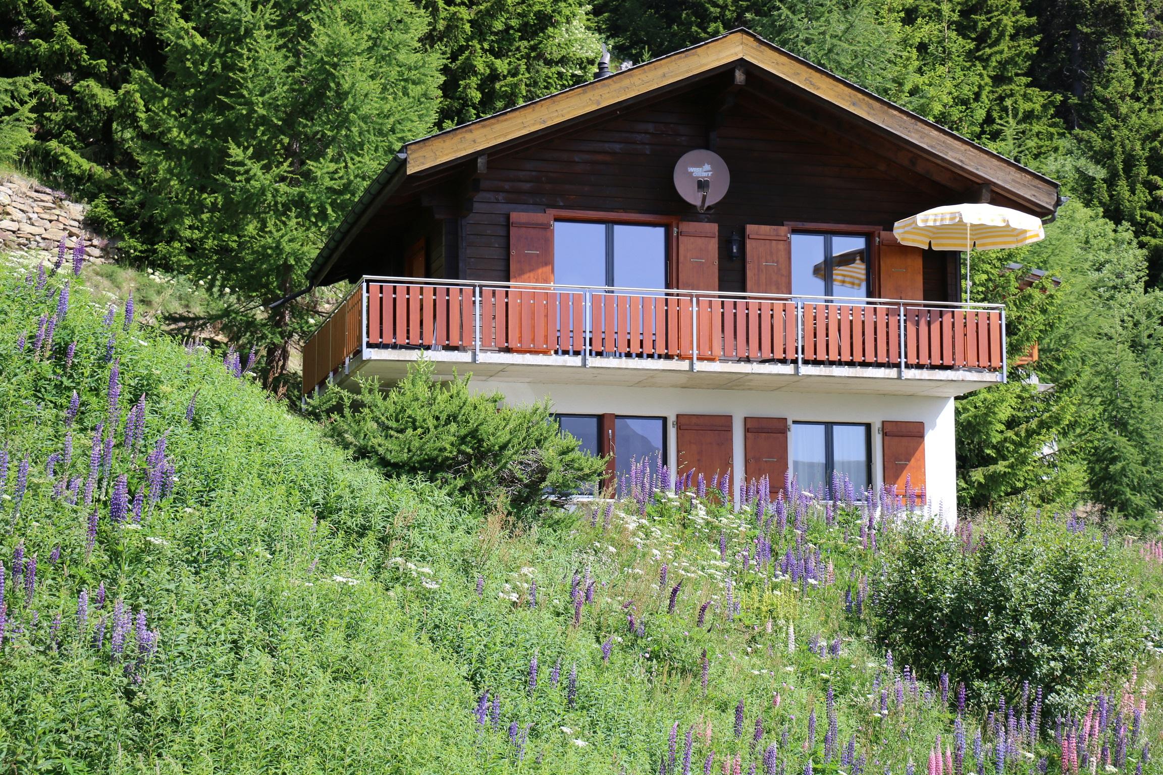 Brunnquell - IMG_2414