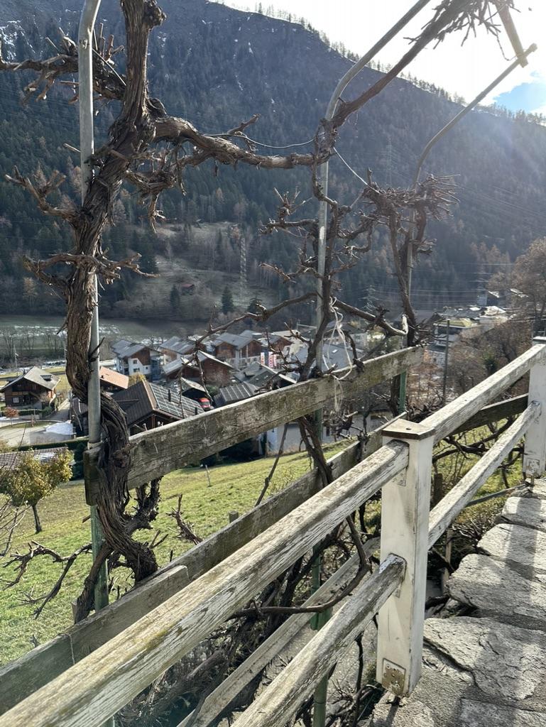 Steingräbji 1. OG Süd - Aussicht zum Dorf