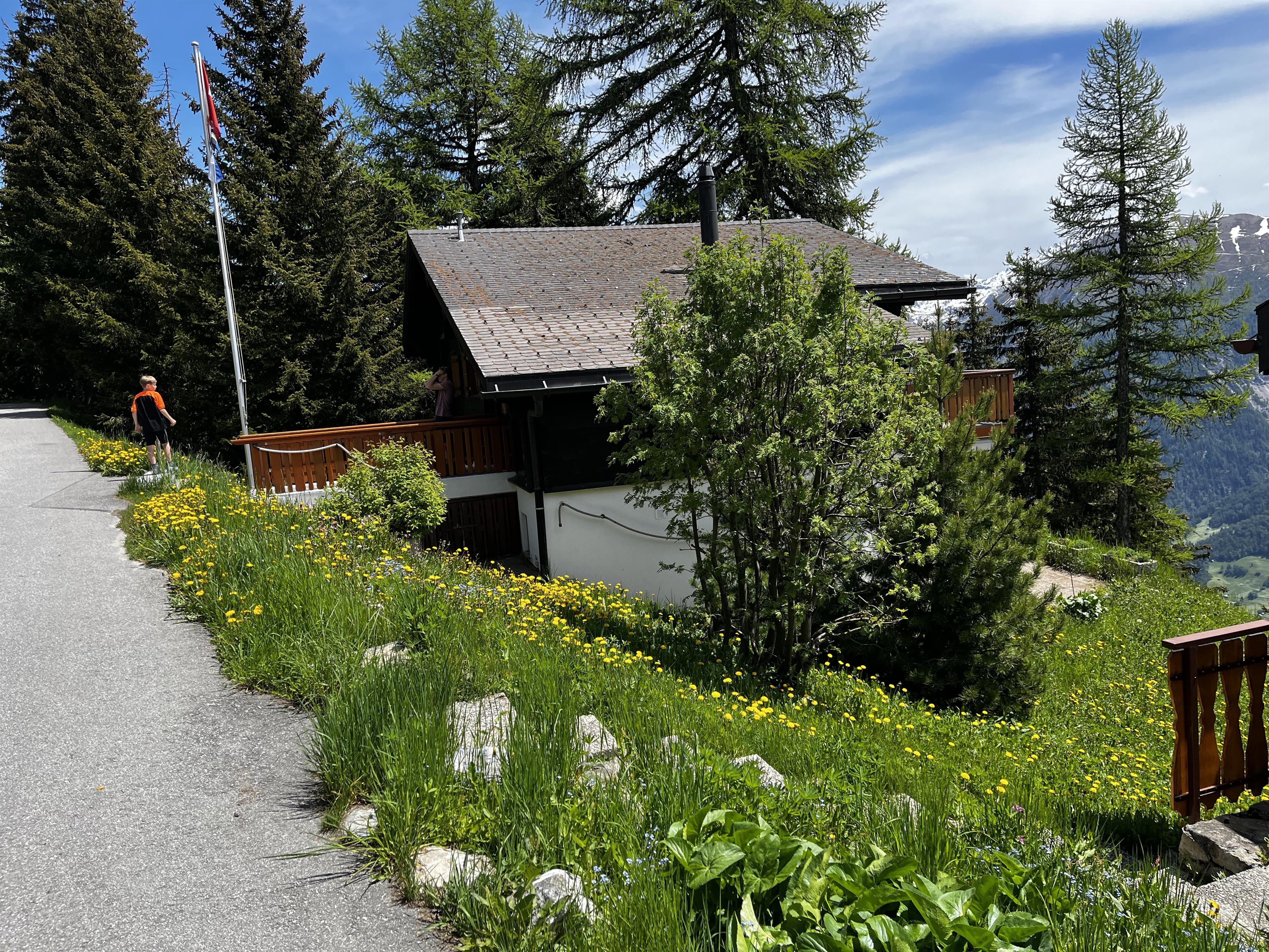 Altweert 1. OG Süd - Chalet Altweert im Sommer