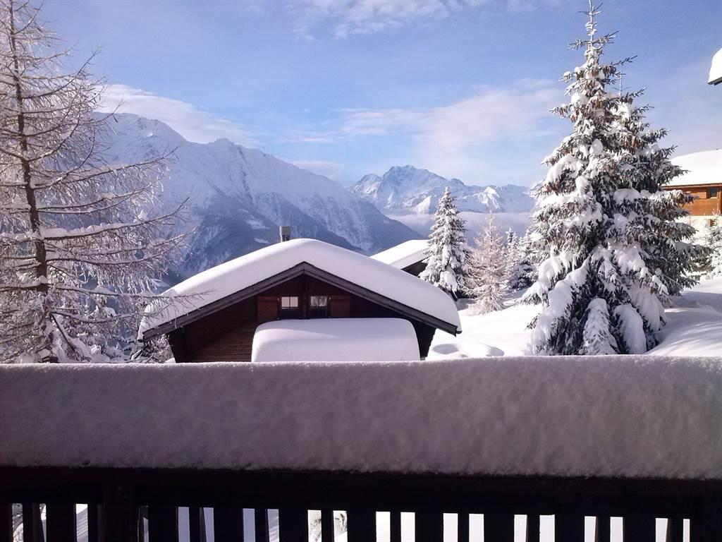 Kleeblatt - OG - Aussicht vom Balkon