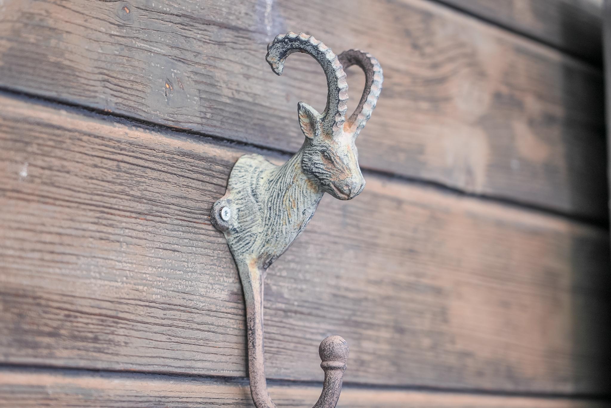 Gunneheim OG Süd - DSC04612