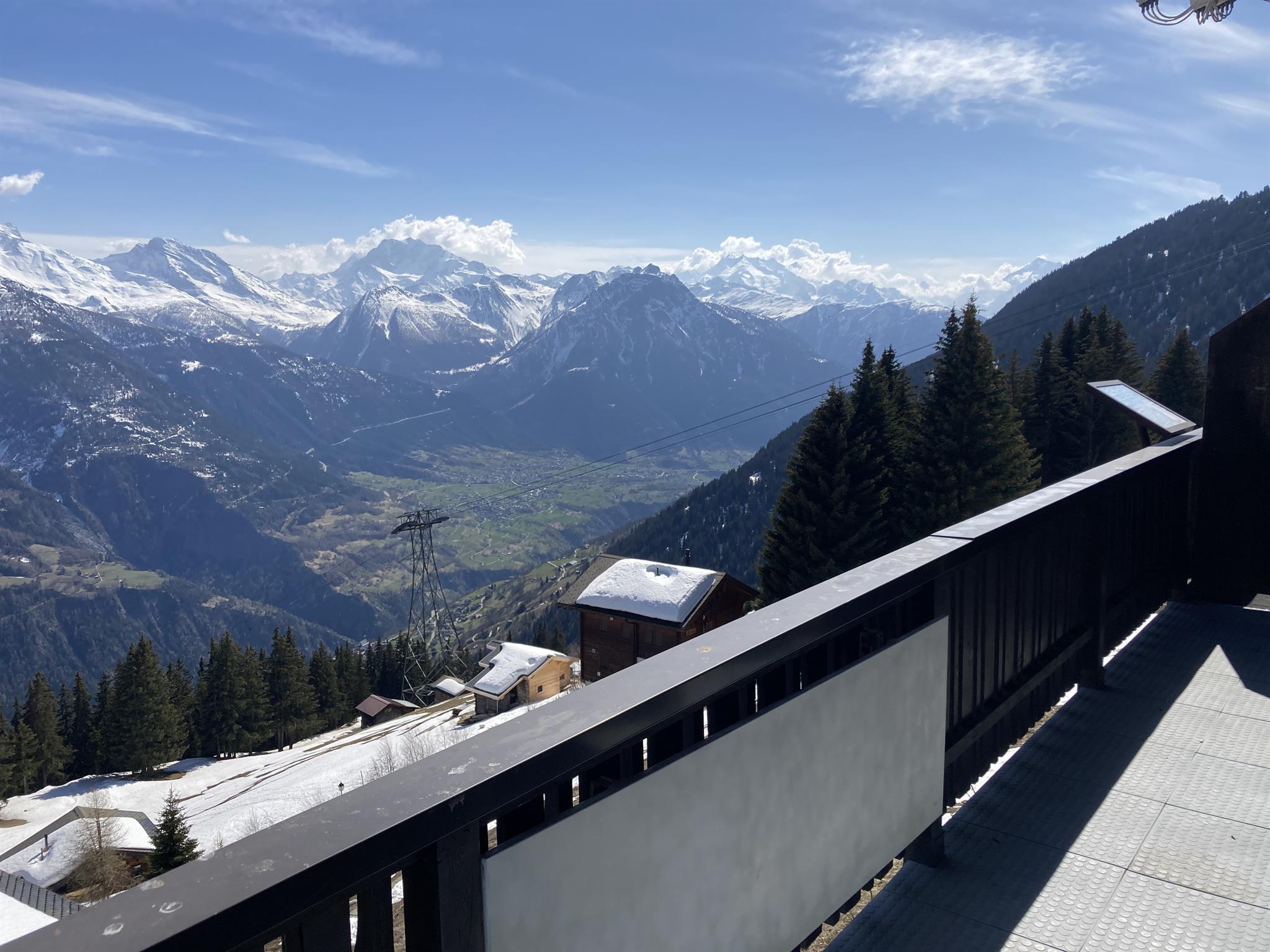 Dame 1. OG - Aussicht Terrasse Frühling