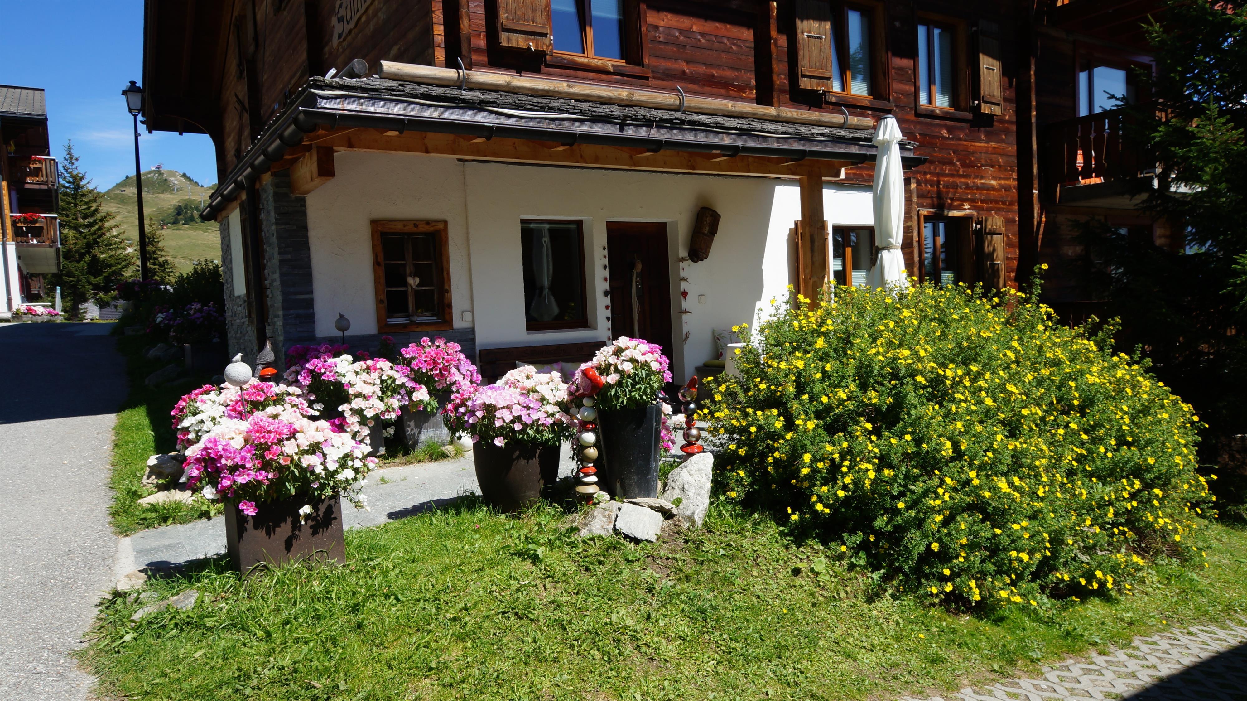 Sunnuschy - DSC03851