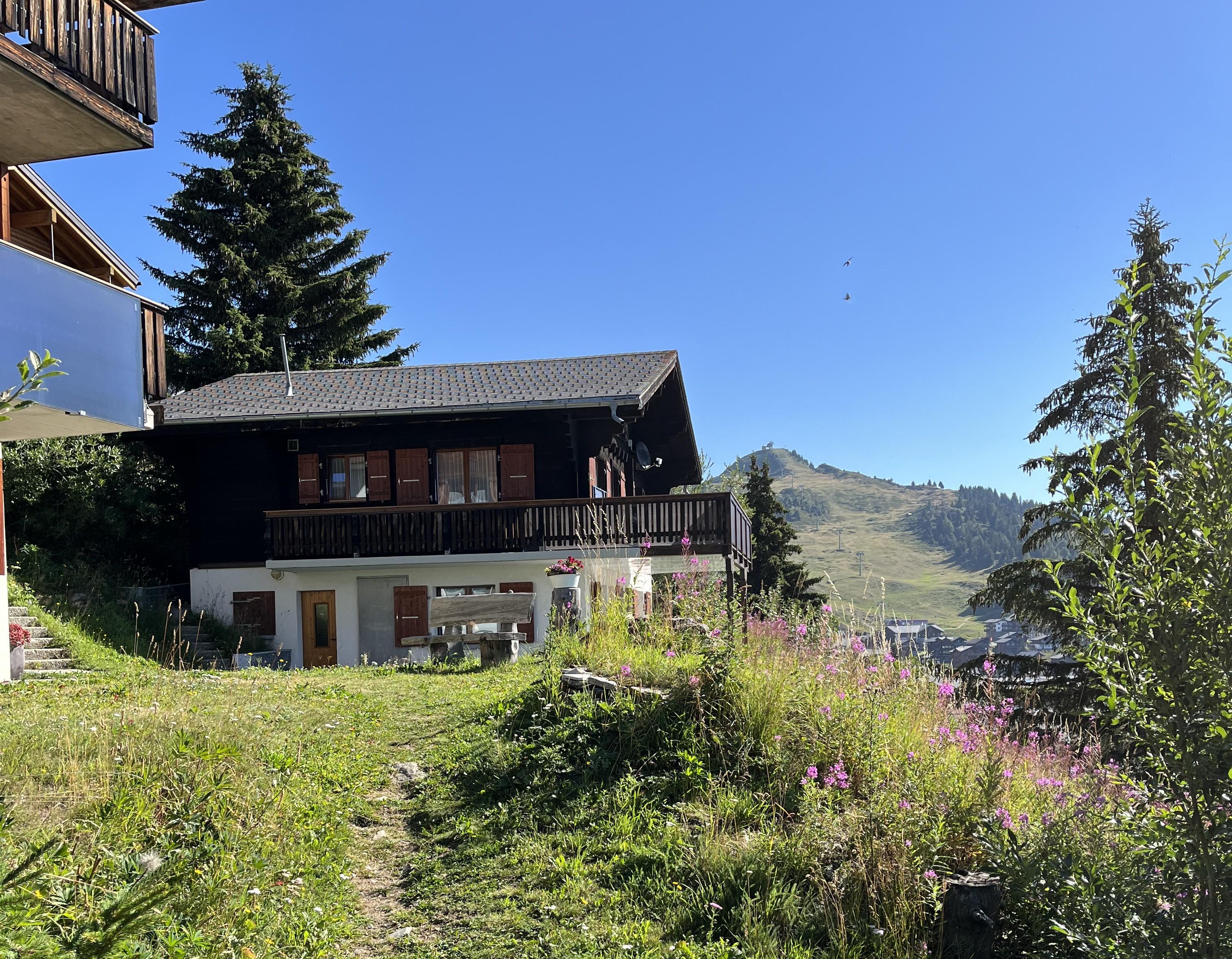 Felsblick 1 - Sommer 2023