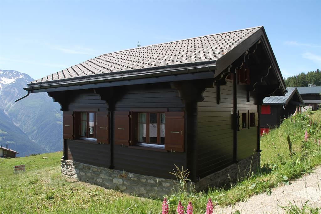 Primeli - IMG_7610