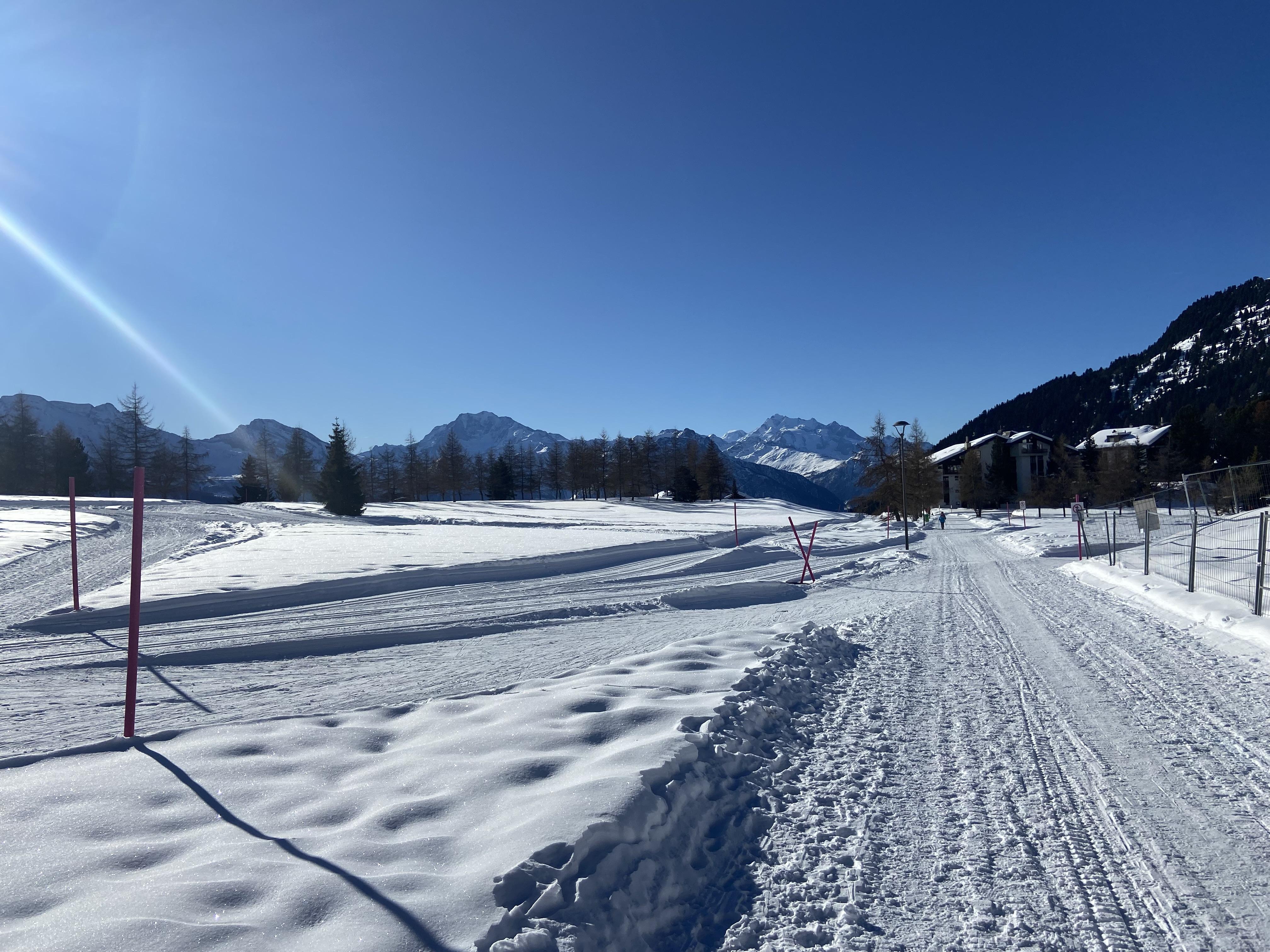 Riederhof B 355 2. OG West - IMG_5122