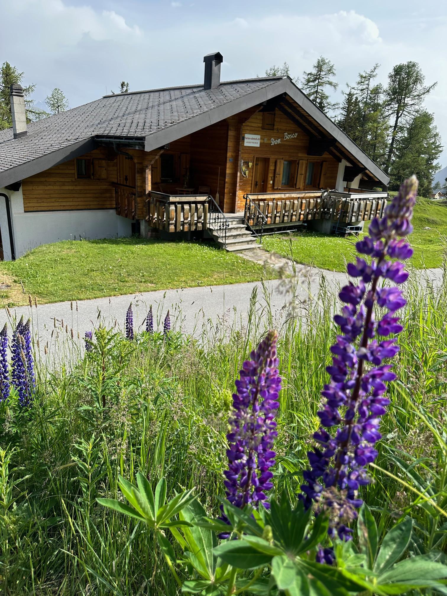 Don Bosco 2 - Don Bosco