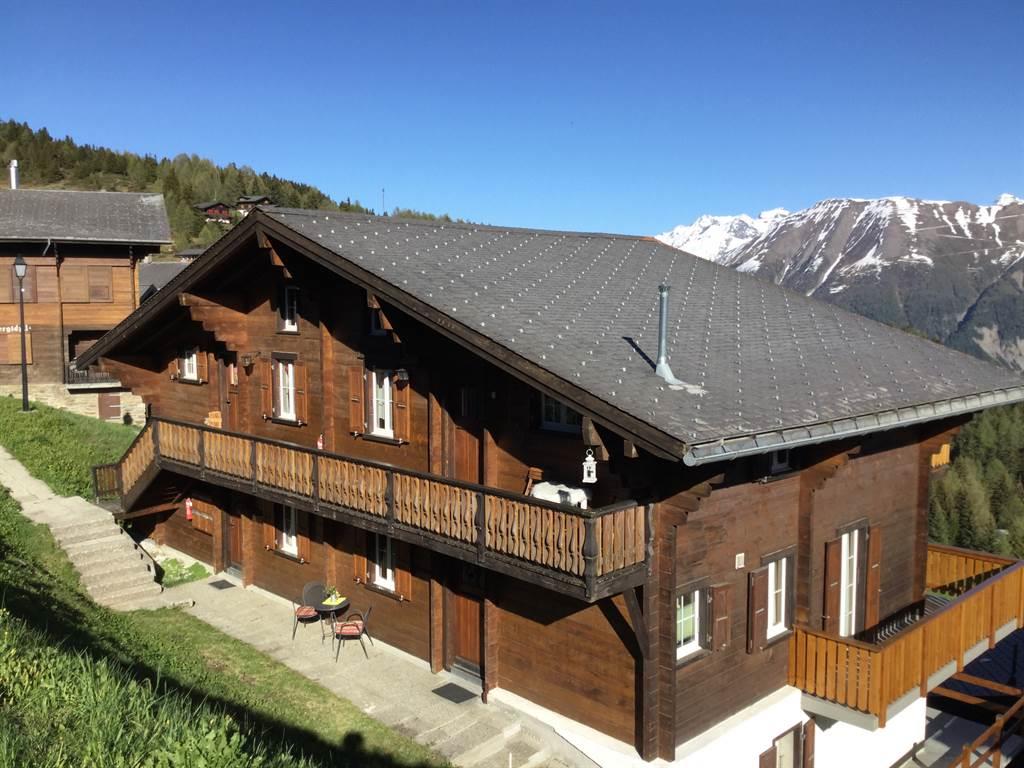 Hollandia (Ammann) - Zugang Haus