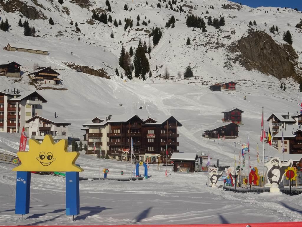 Appartementhaus Edelweiss Aletsch Service - Edelweiss_Winter1