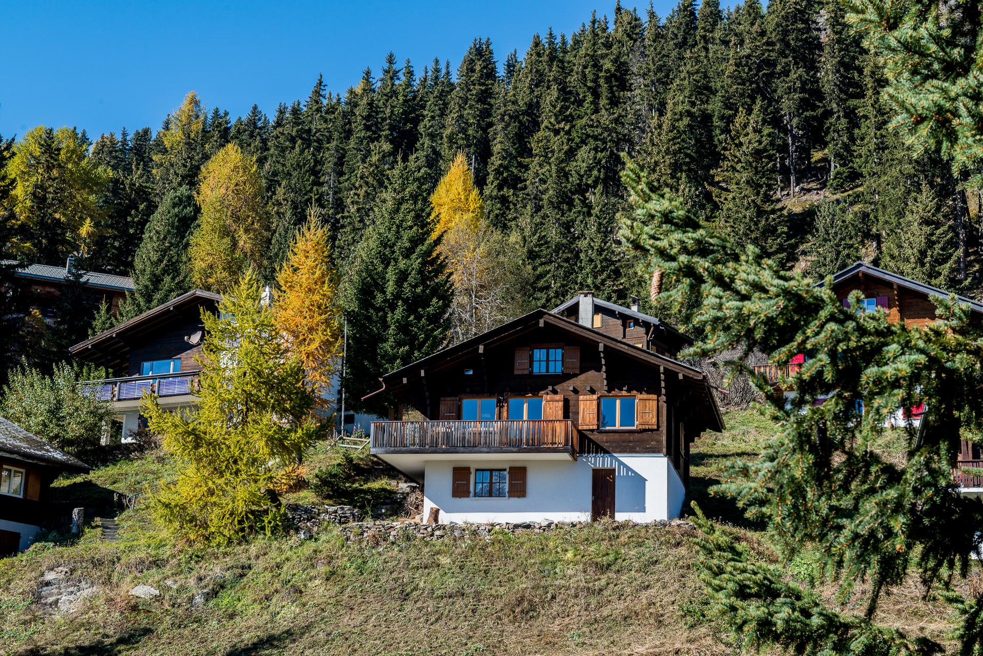 Allegro EG Süd-West - FW5_9830