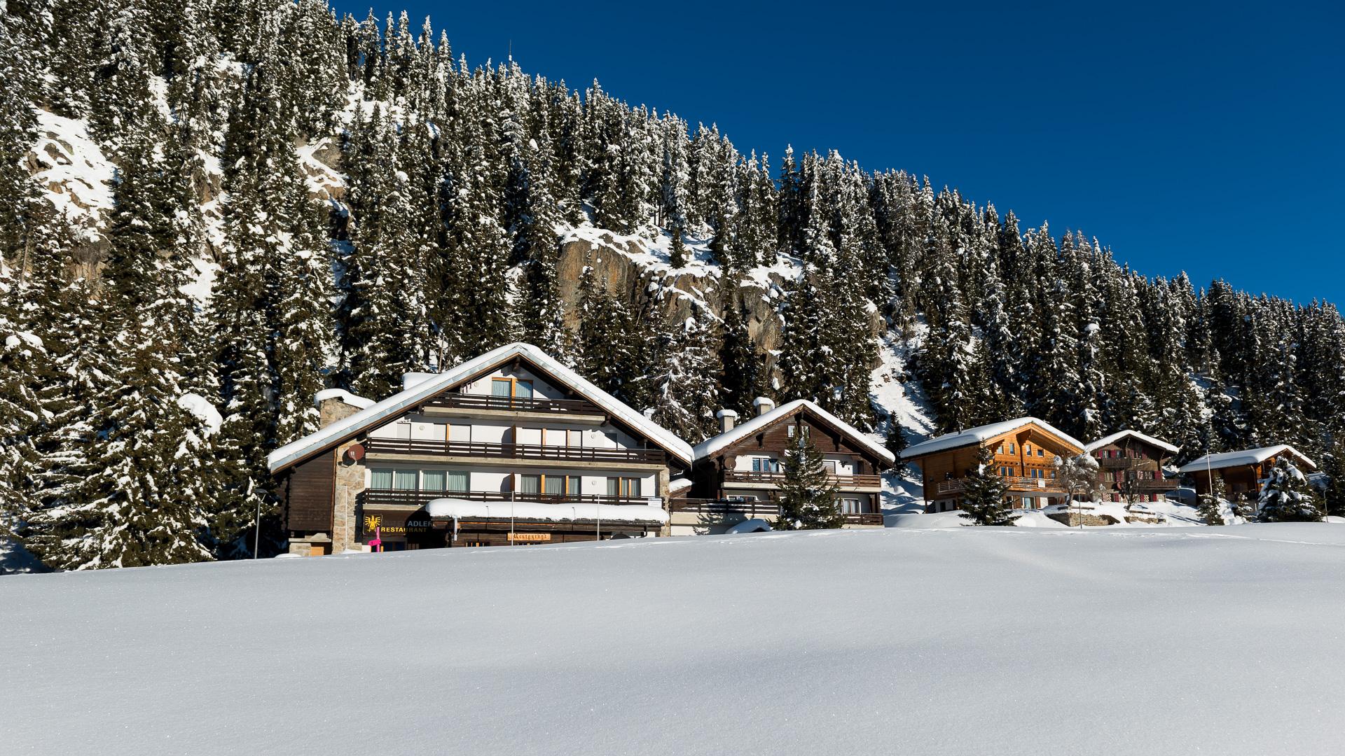 Adler Residenz 12 1. OG Süd - FW5_2420