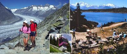 Stadel 3 - Collage Sommer