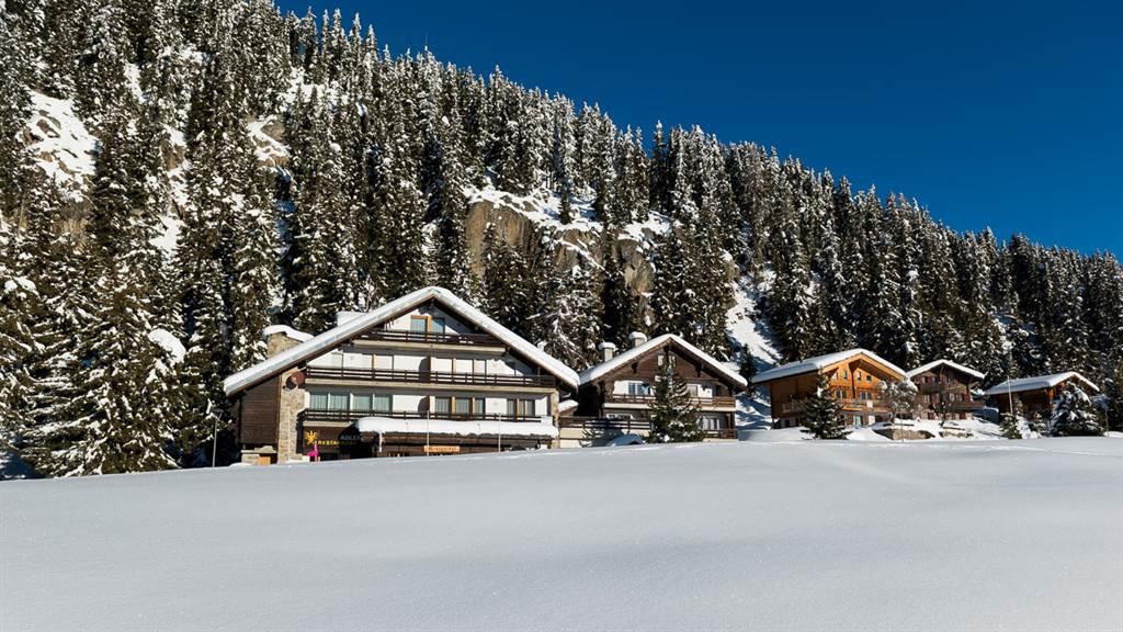 Adler Residenz 8 EG Süd - FW5_2420