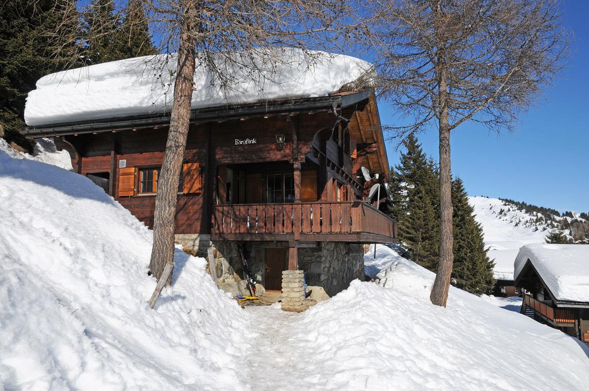 Bärgfink - Chalet Bärgfink