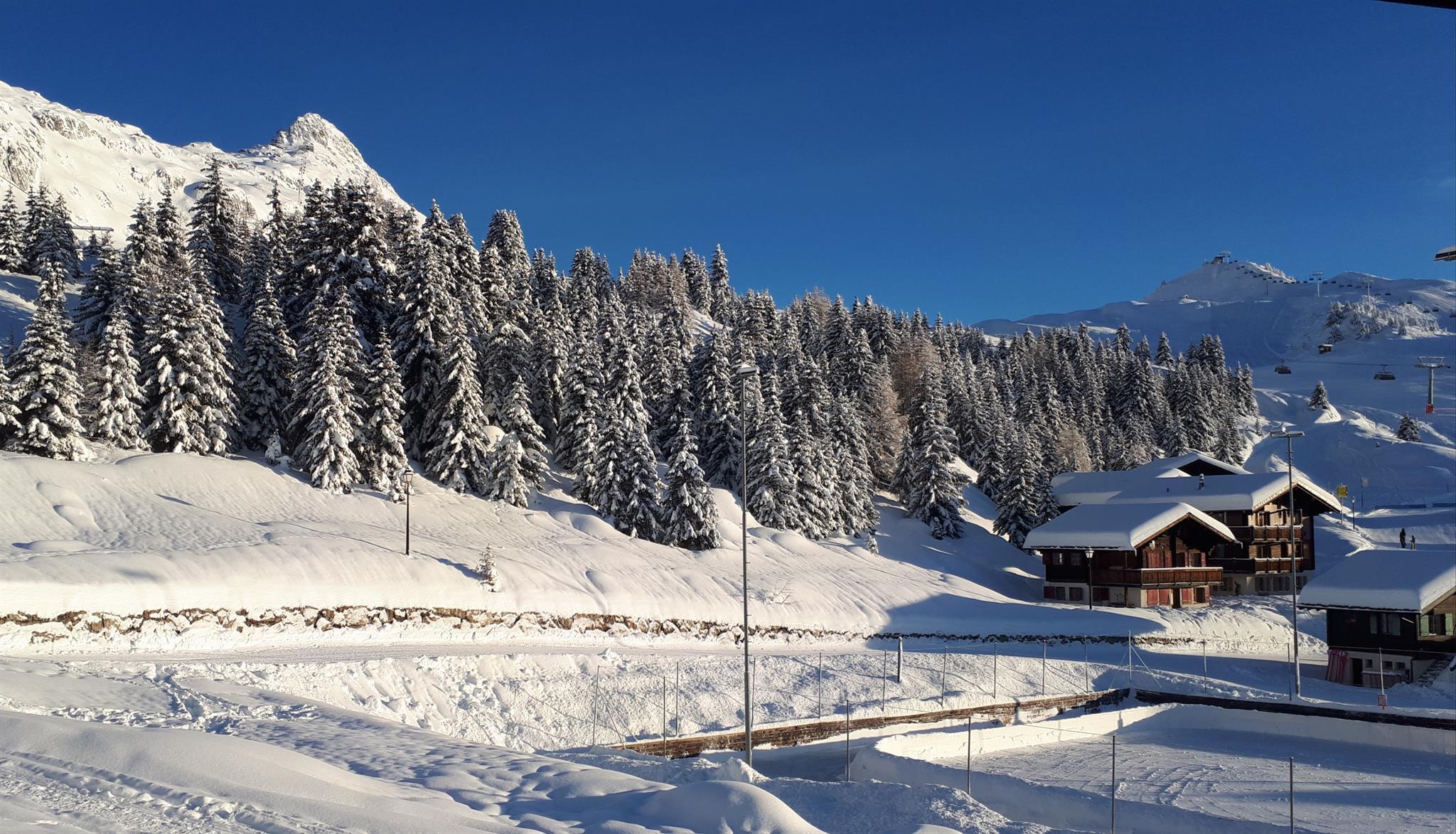 Forelle - Aussicht Winter 20181225_090058