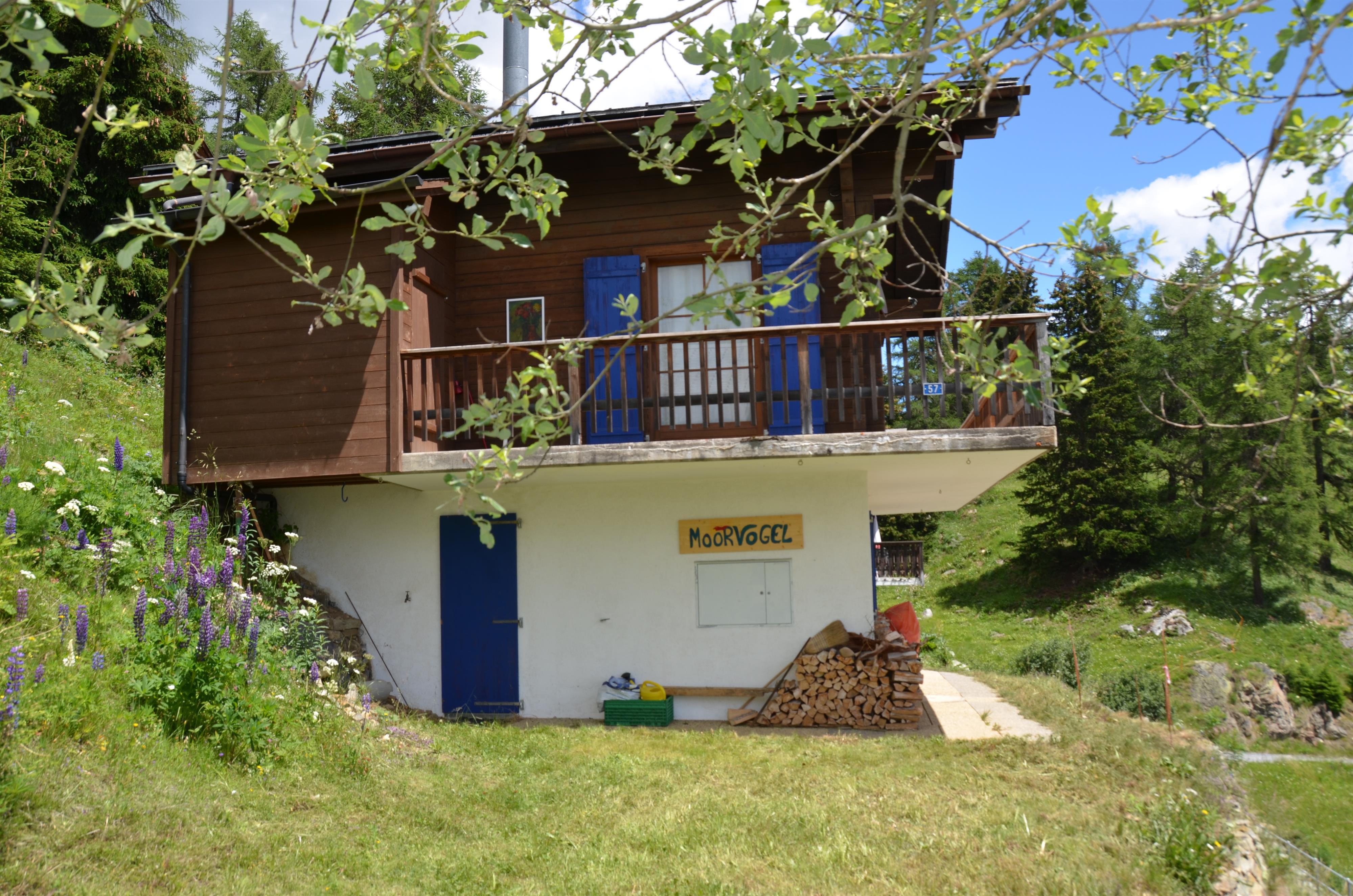 Moorvogel - Chalet Moorvogel von der Seite im Sommer