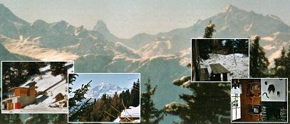 Sunneeggli - Collage Winter