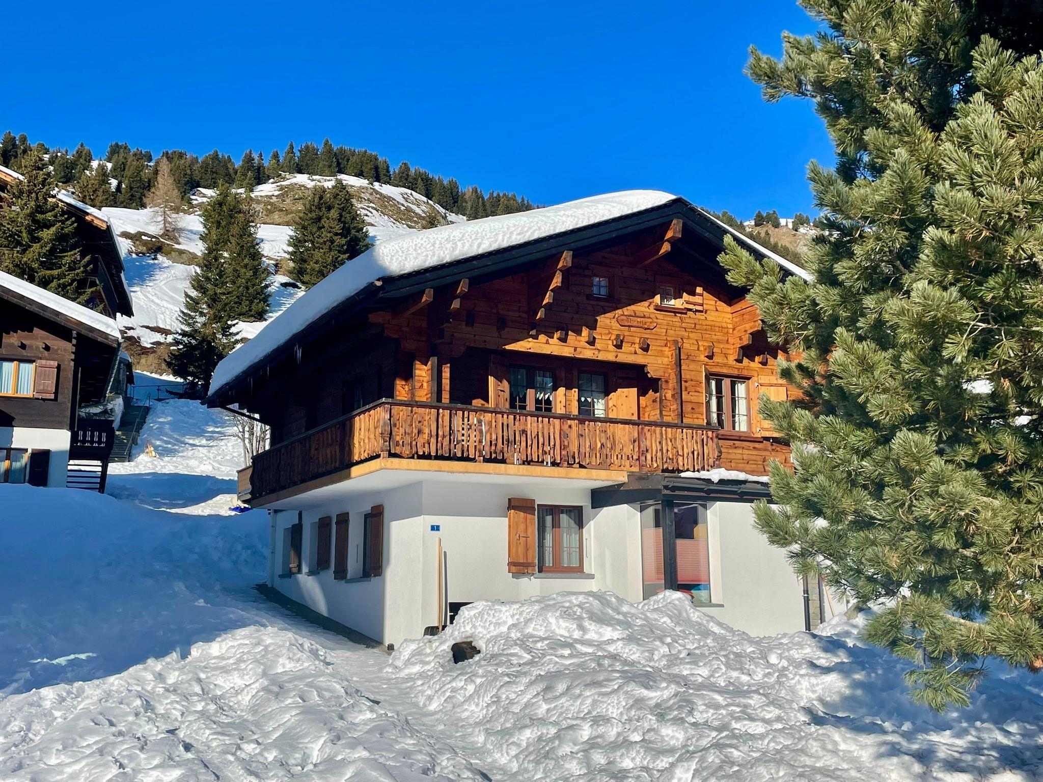 Mirella 1. Stock - Mirella Winter