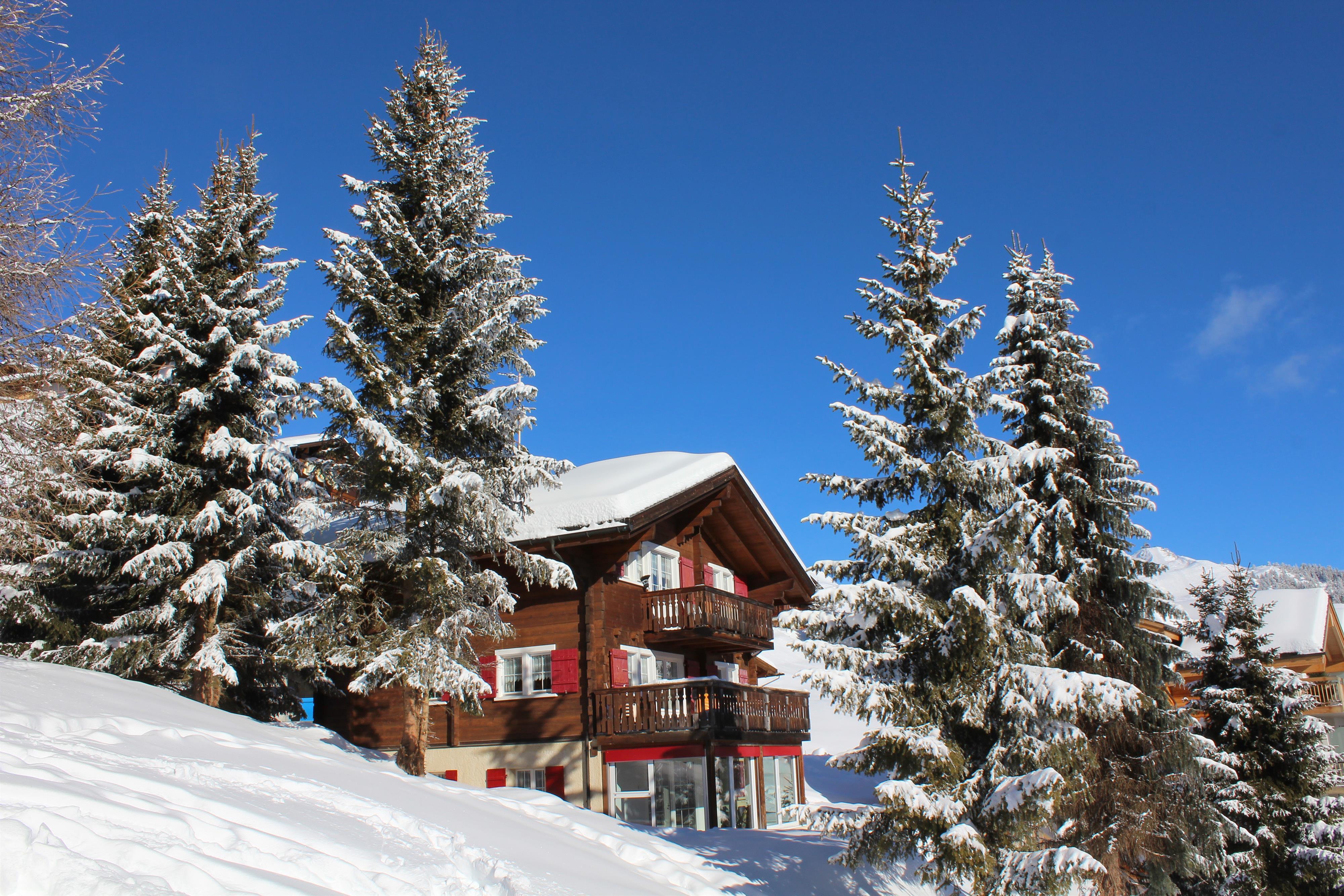 Rosmarie EG Süd - Südwest15