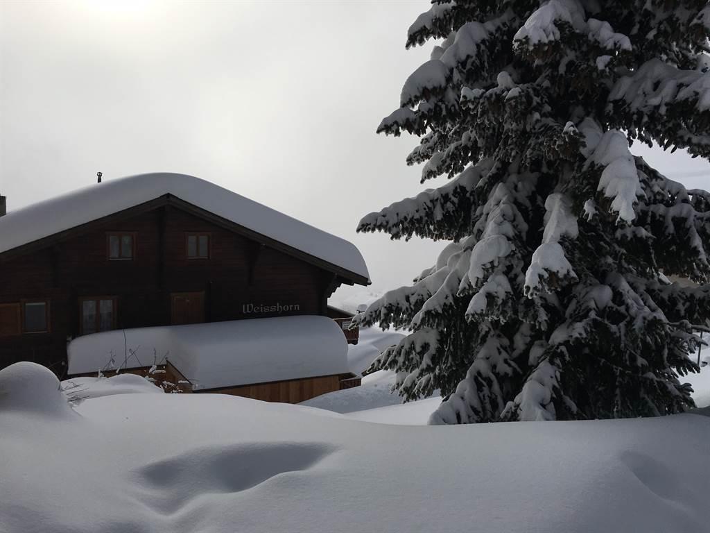 Weisshorn 3 1. OG Ost - Weisshorn mit Sonne und Nebel