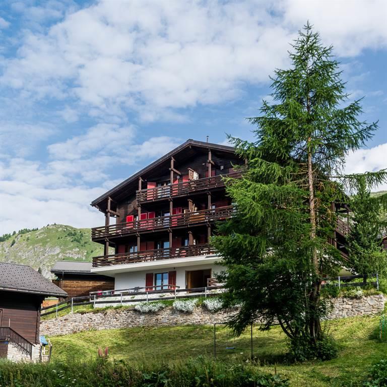 Golmen 8 - DSC_6401_fotoweb15_riederalp-fewo-3