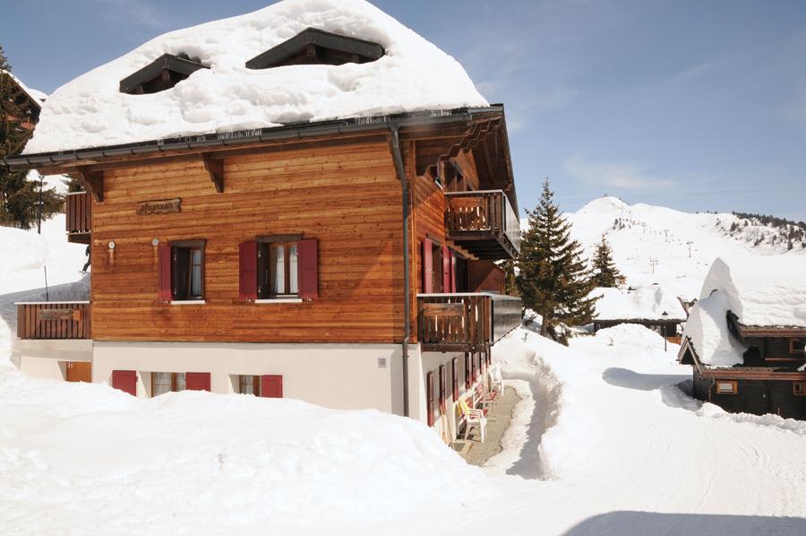 Thymian Parterre West - Thymian Winter Haus2_900,1,DSC_6439_bearbeitet-2