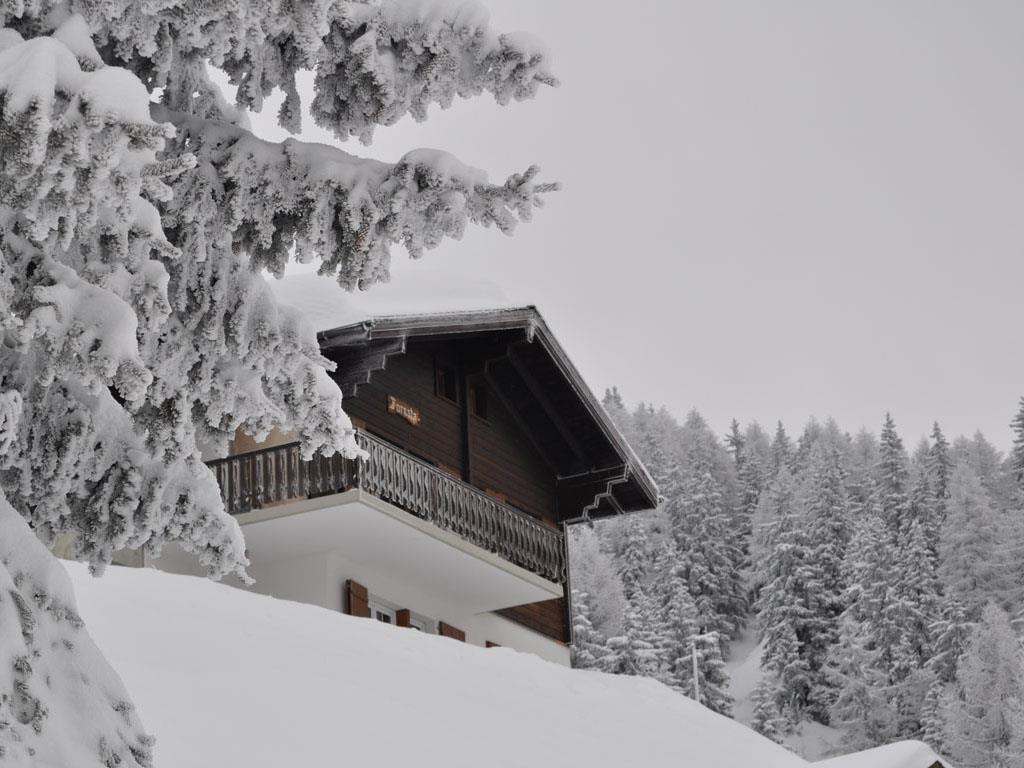Foresta OG - Aussenansicht  Südseite