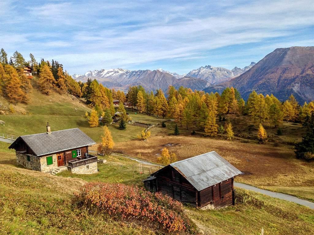 Flesch EG - Das Chalet Flesch in Herbstfarben