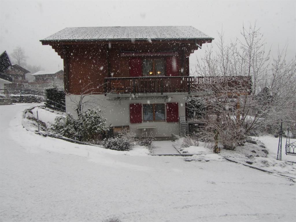 Taubenhaus OG Süd - Winter