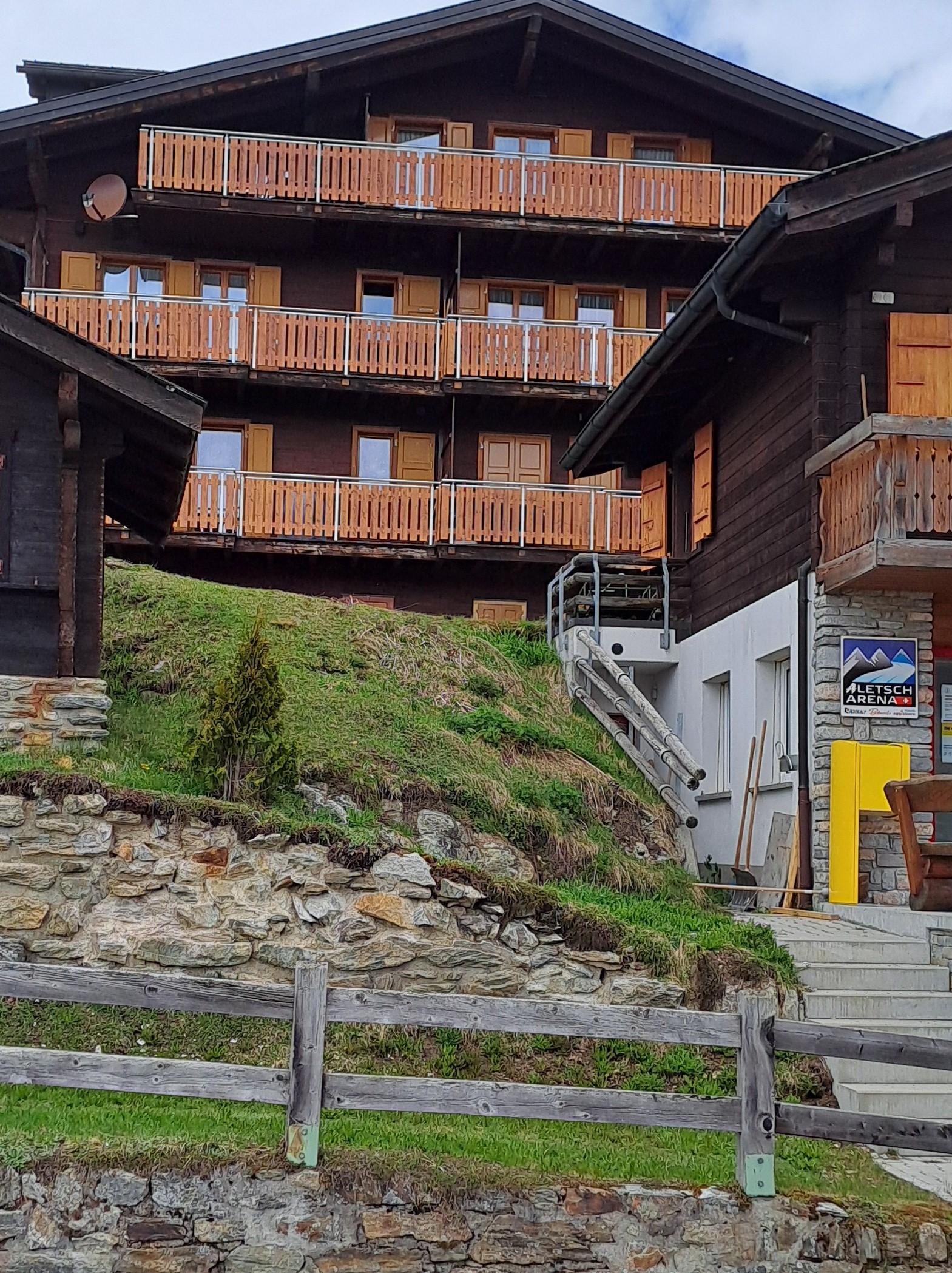 Aster (Summermatter-Minnig) - 20240519_143422~2