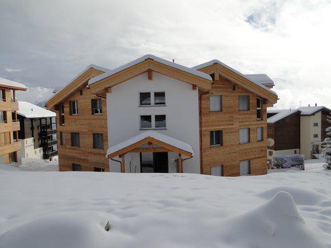 Aletsch Carving 2 - Aussenansicht