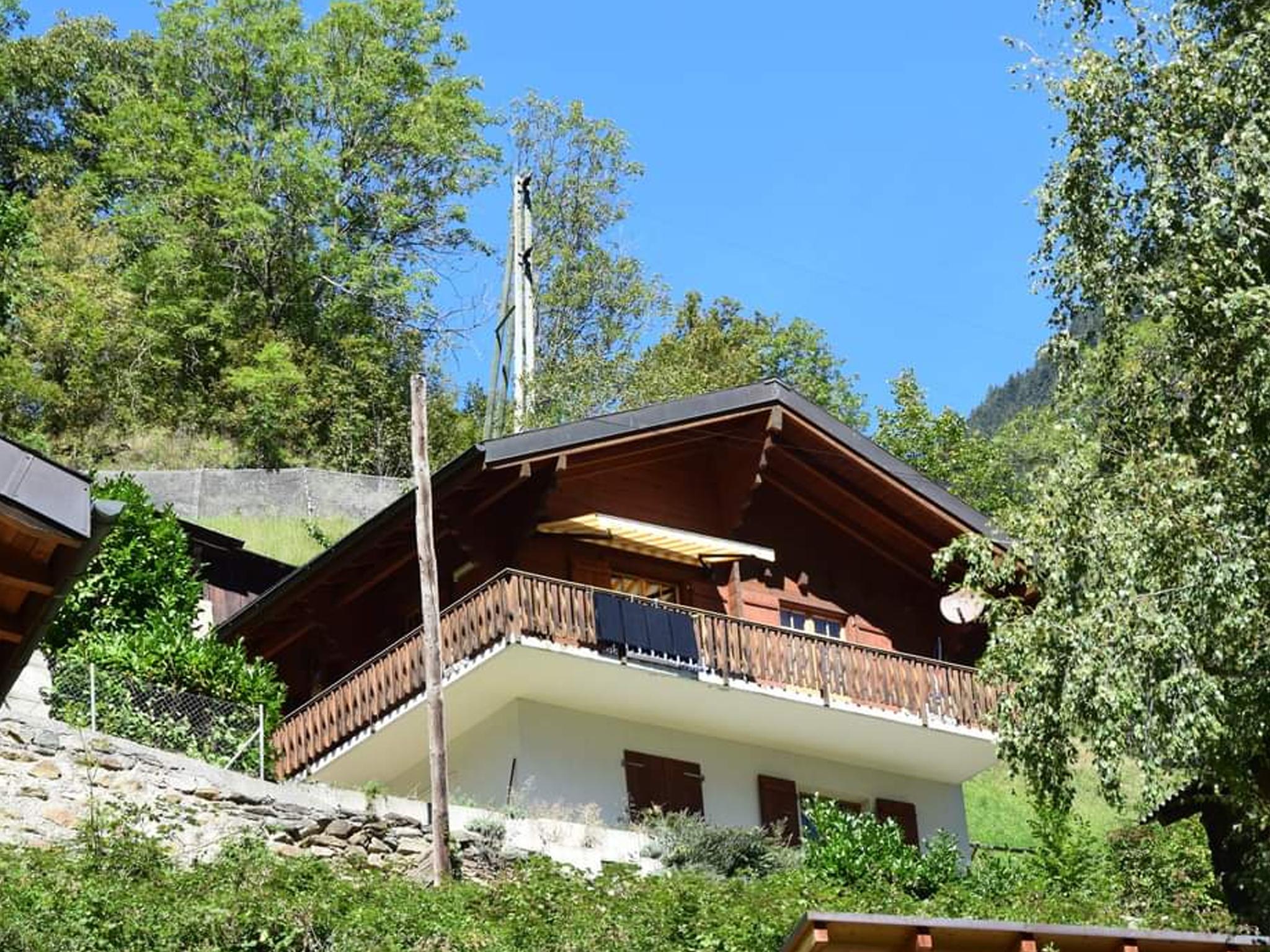 Schaefli Süd - aangezicht