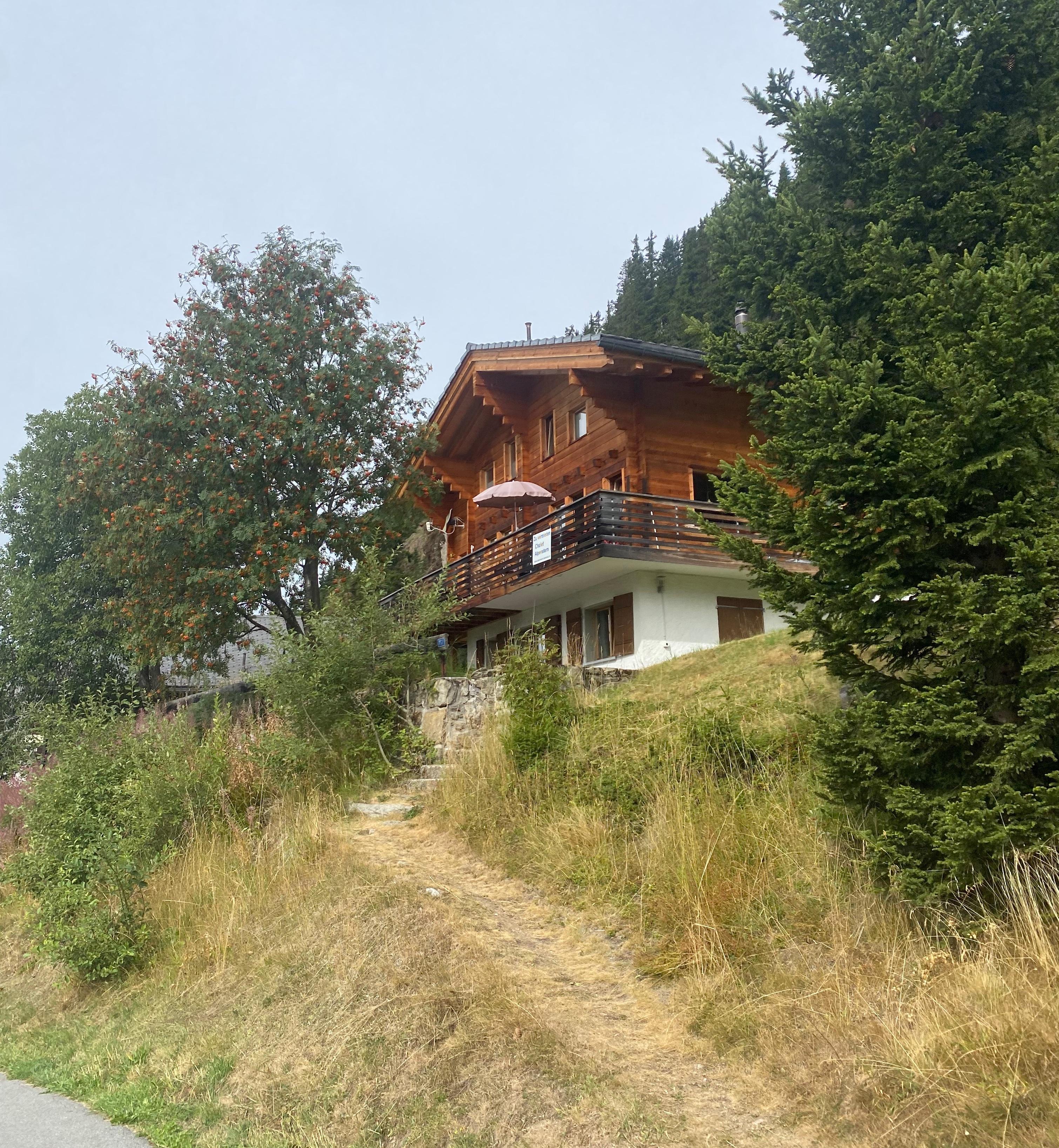 Alpenstern West - Aussenansicht Sommer